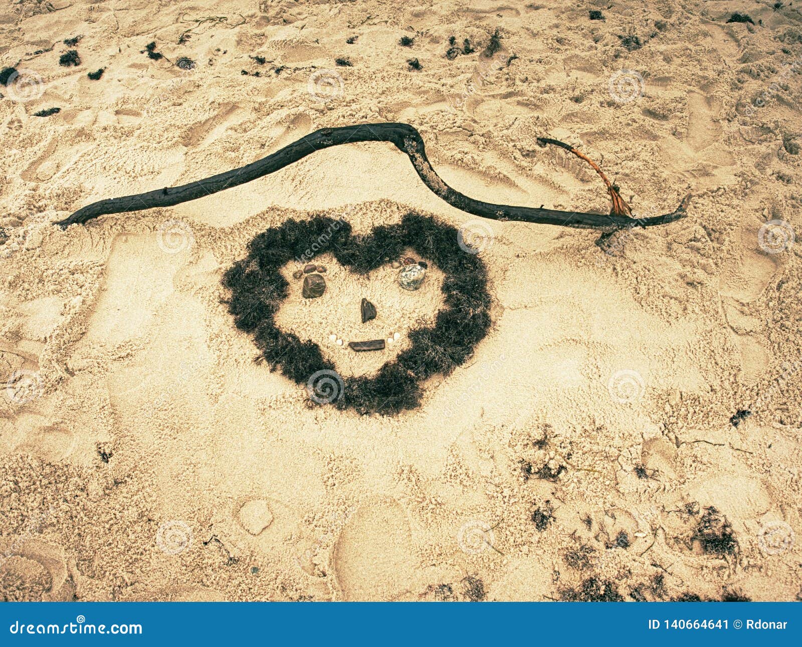 Funny Man Face Painted in Sand with Algae Hair Stock Image Image of