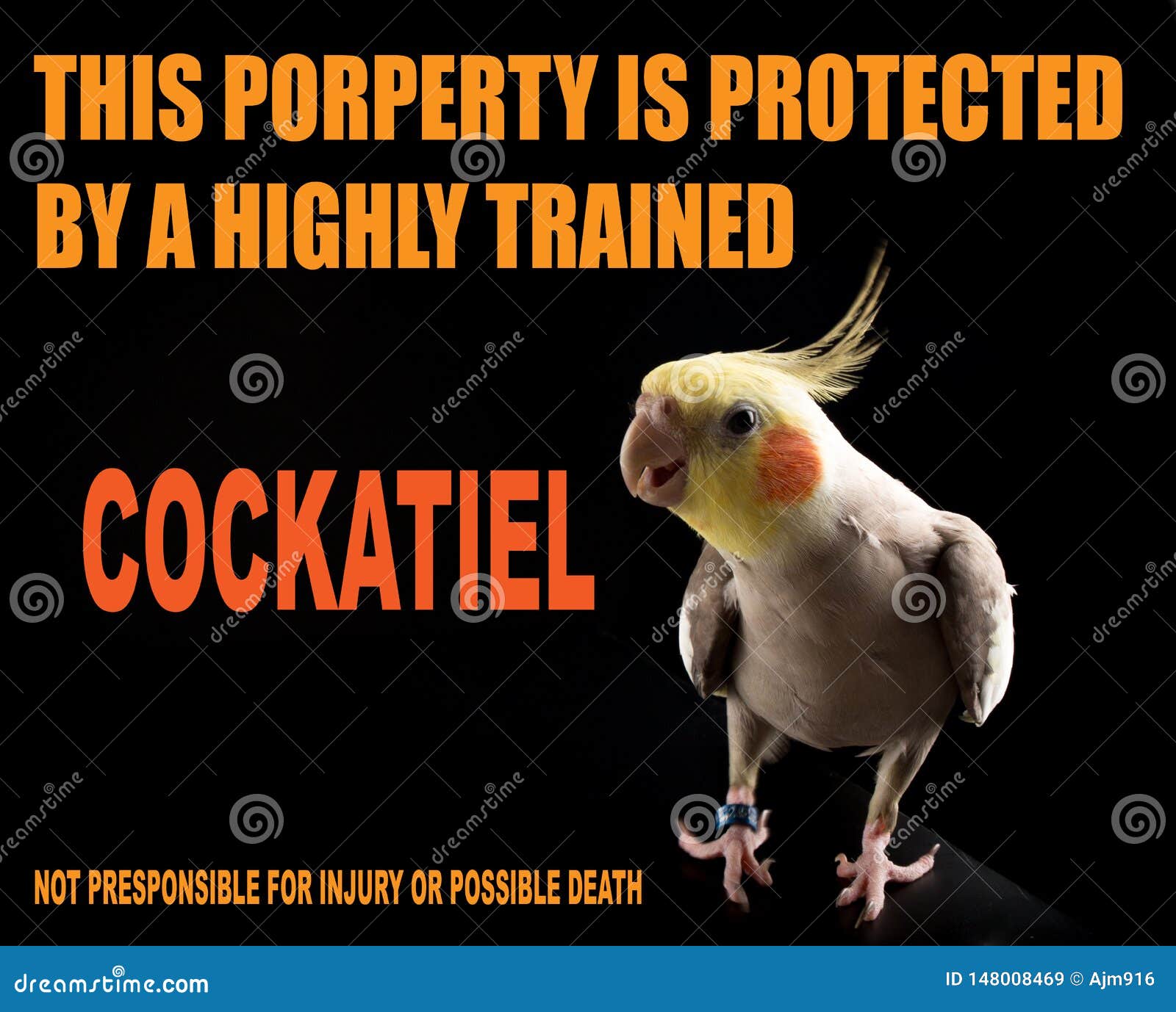 Funny Bird Memes, Cute Dangerous Pet Warnings Stock Image Image Of Food,  Parakeet: 225954605 | Colegioclubuniversitario.Edu.Ar