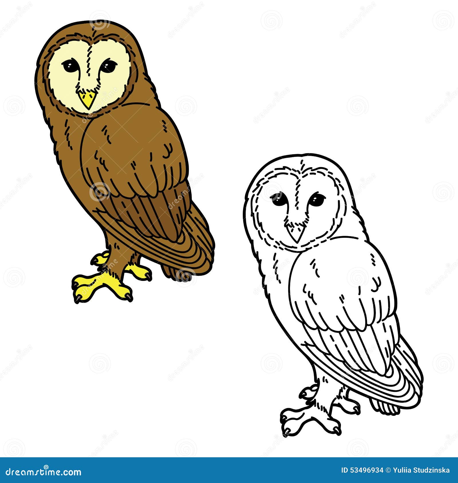 Funny owl. stock vector. Illustration of book, coloring - 53496934