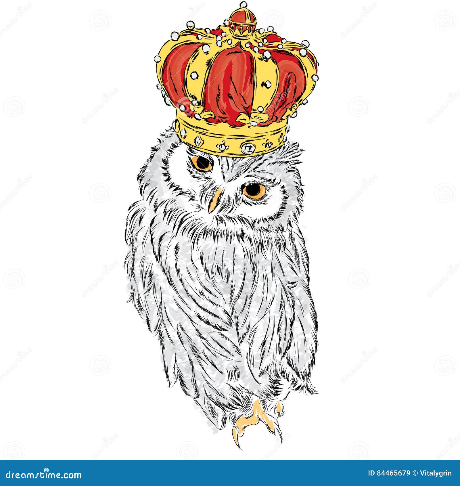 [Image: funny-owl-wearing-crown-vector-illustrat...465679.jpg]