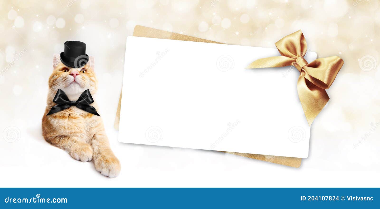 Funny Pet Cat and Greeting Gift Card on White with Blurred Golden Intended For Blank Cat In The Hat Template
