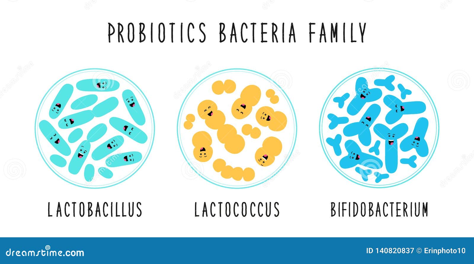 funny probiotics bacteria family cartoon characters  on white, gut and intestinal flora, set in flat style