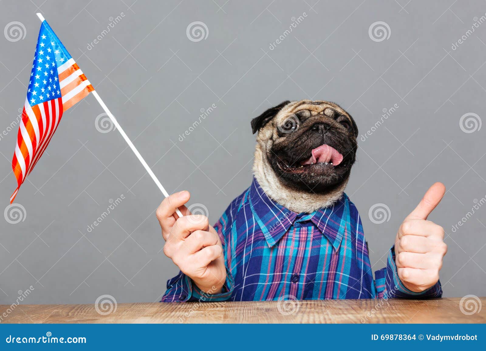 12,871 Usa Funny Stock Photos - Free & Royalty-Free Stock Photos from Dreamstime 12,871 Usa Funny Stock Photos - Free & Royalty-Free Stock Photos from Dreamstime