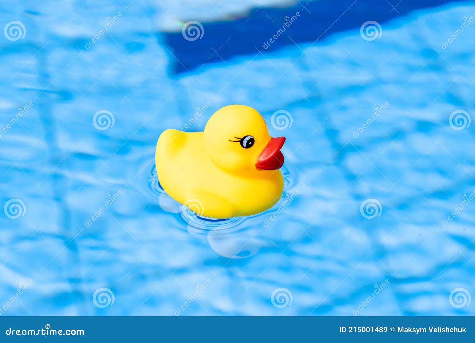 Funny Rubber Ducky. Yellow Inflatable Toy for Kids Swim in Blue Water of  Summer Pool Stock Image - Image of bikini, bath: 215001489