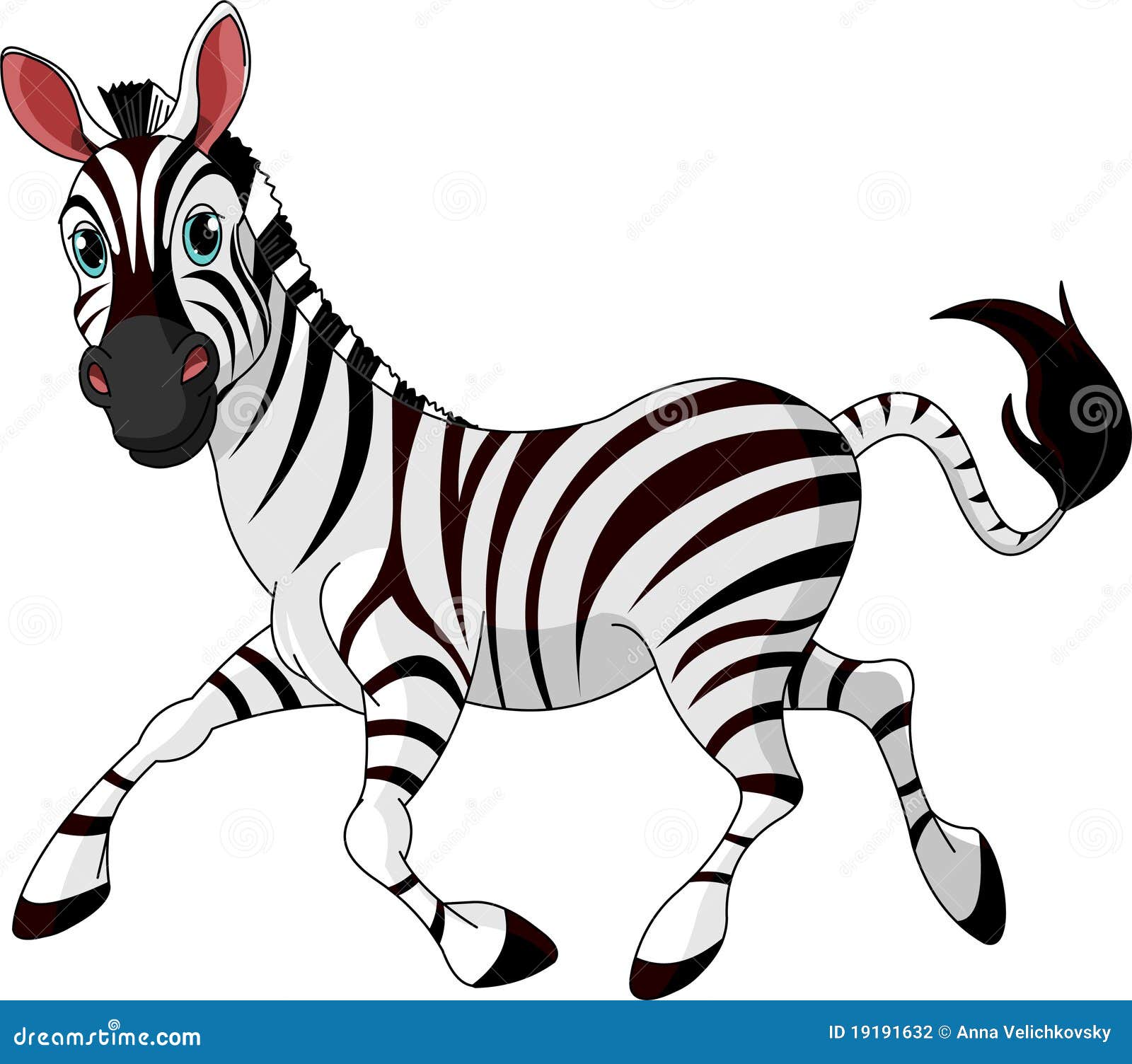 funny running zebra