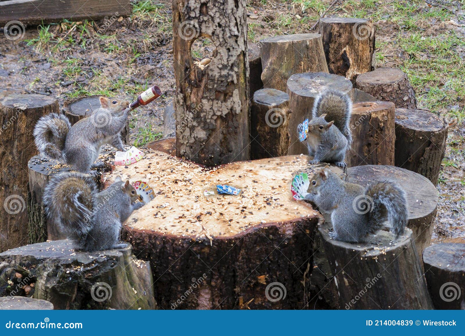 Funny Shot of a Group of Squirrels Playing Cards and Drinking Around a