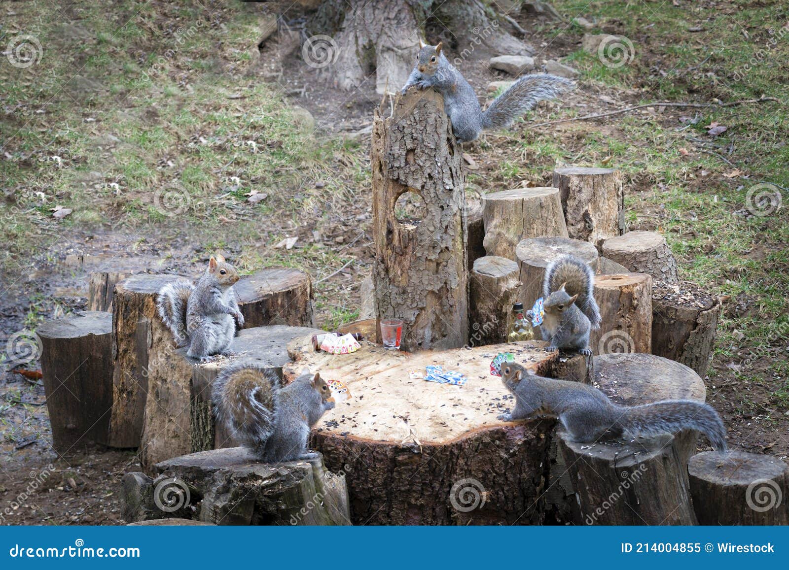 Funny Shot of a Group of Squirrels Playing Cards and Drinking Around a