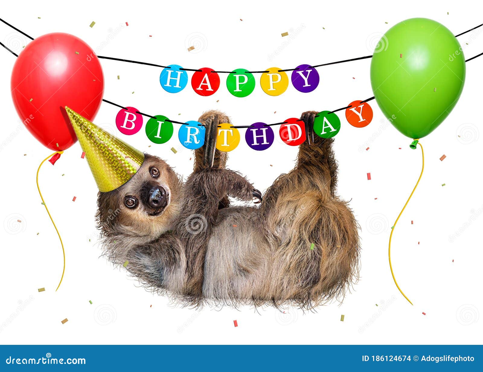 Funny Sloth Hanging from Happy Birthday Banner Stock Photo ...