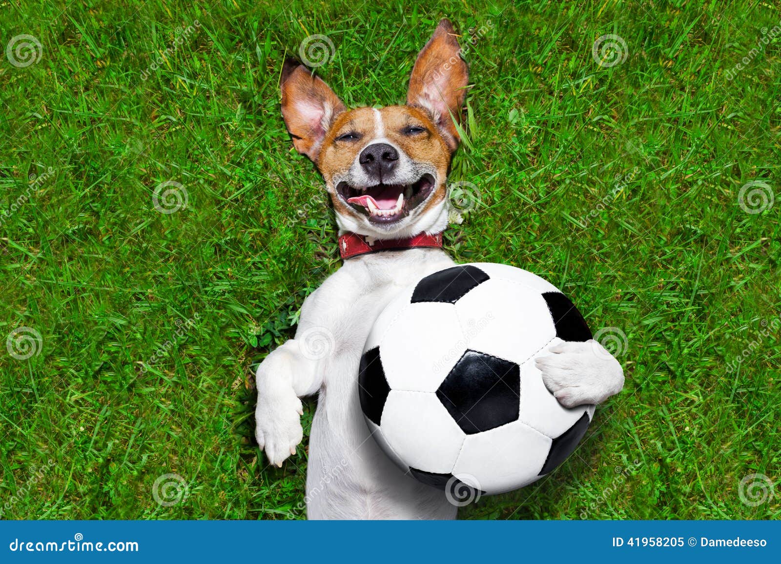 Funny Soccer Goalkeeper Missing Goal Stock Photo CartoonDealer 13-humerus-bone-puns-for-halloween