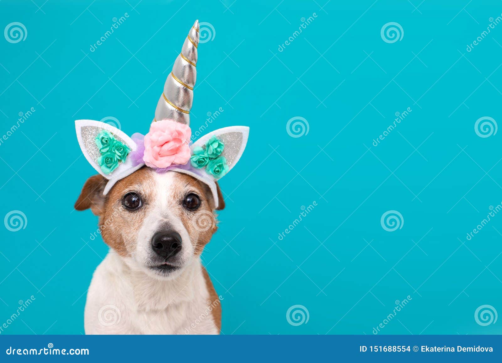 4,784 Funny Unicorn Stock Photos - Free & Royalty-Free Stock Photos from Dreamstime 4,784 Funny Unicorn Stock Photos - Free & Royalty-Free Stock Photos from Dreamstime