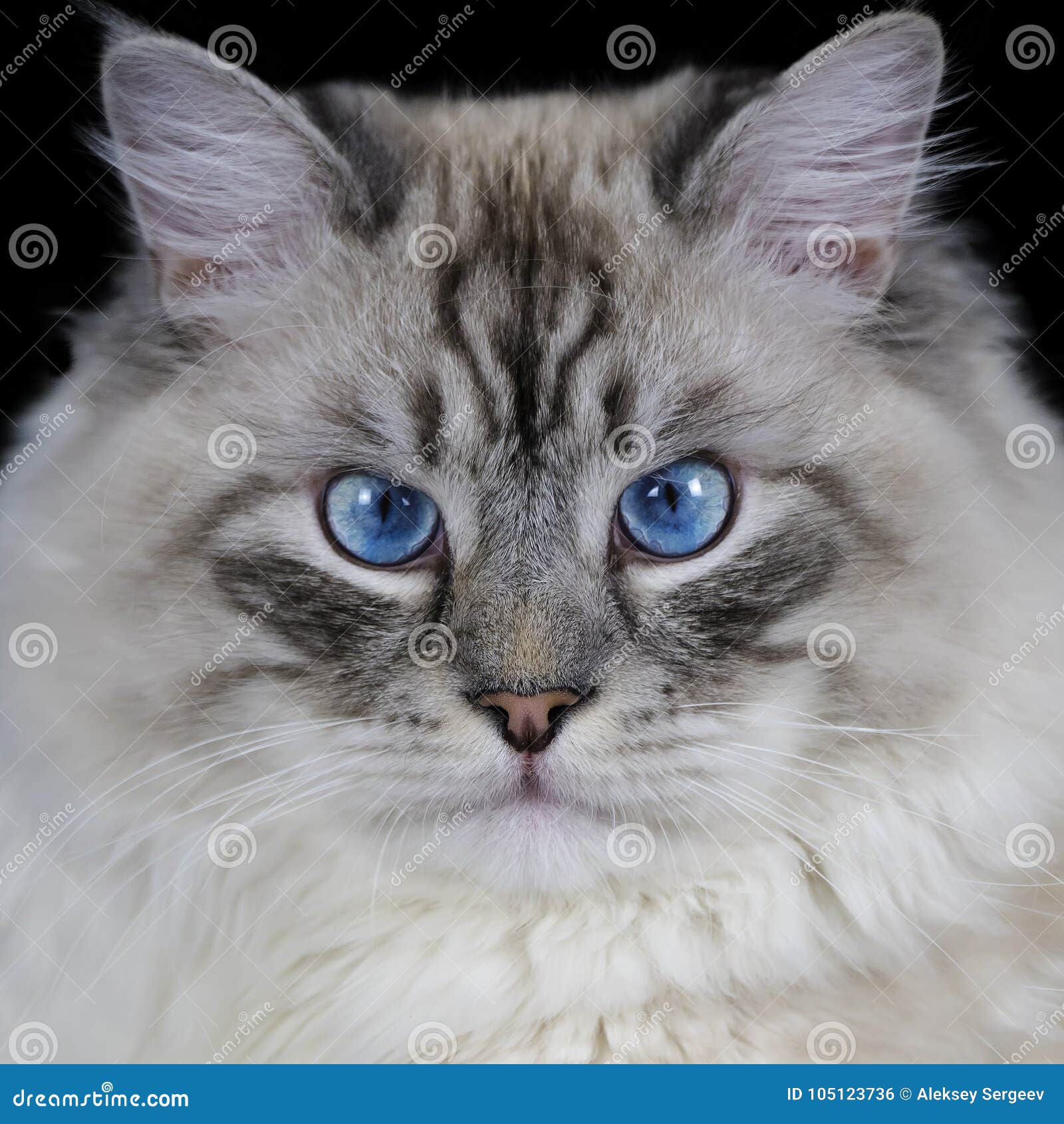 My Image 2