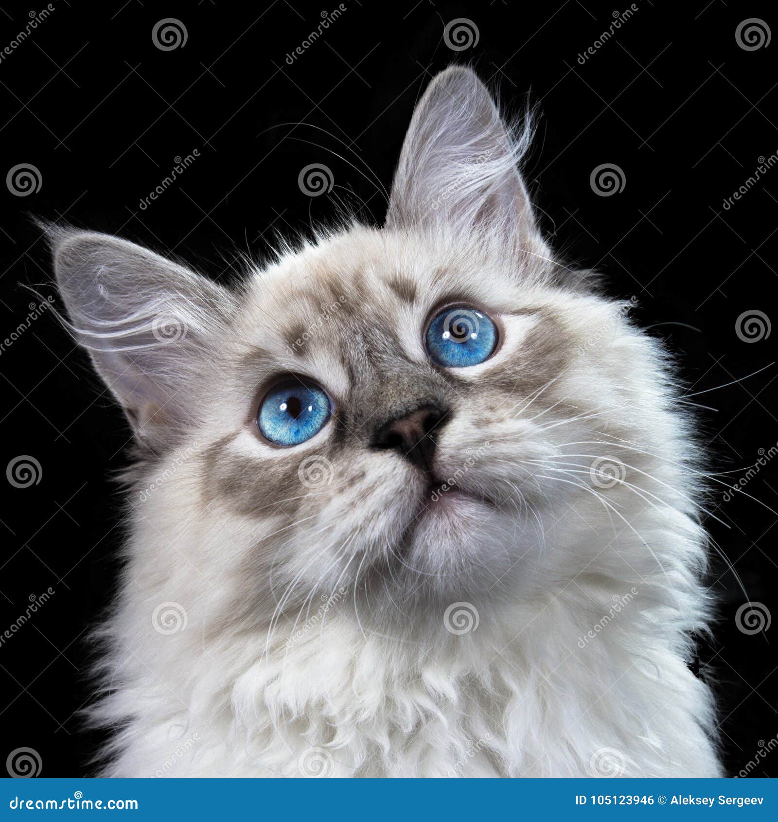 My Image 9