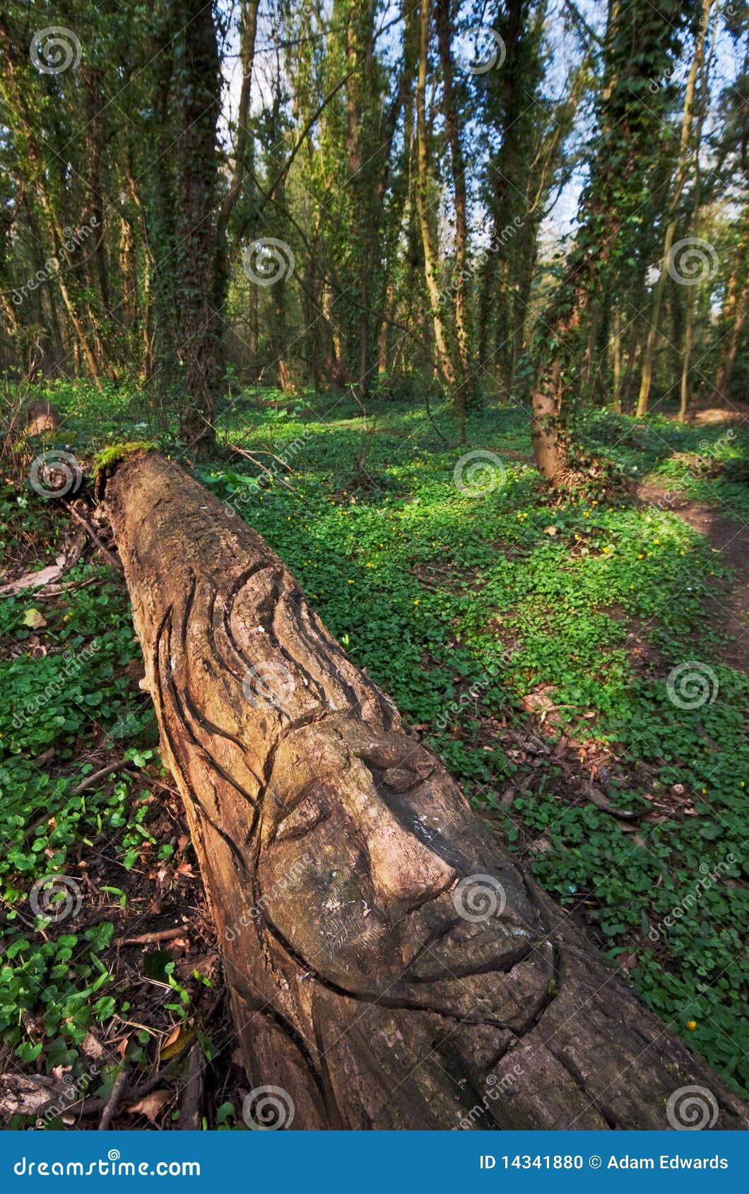 Funny Wood Carving In Spring Woods Stock Photo - Image ...