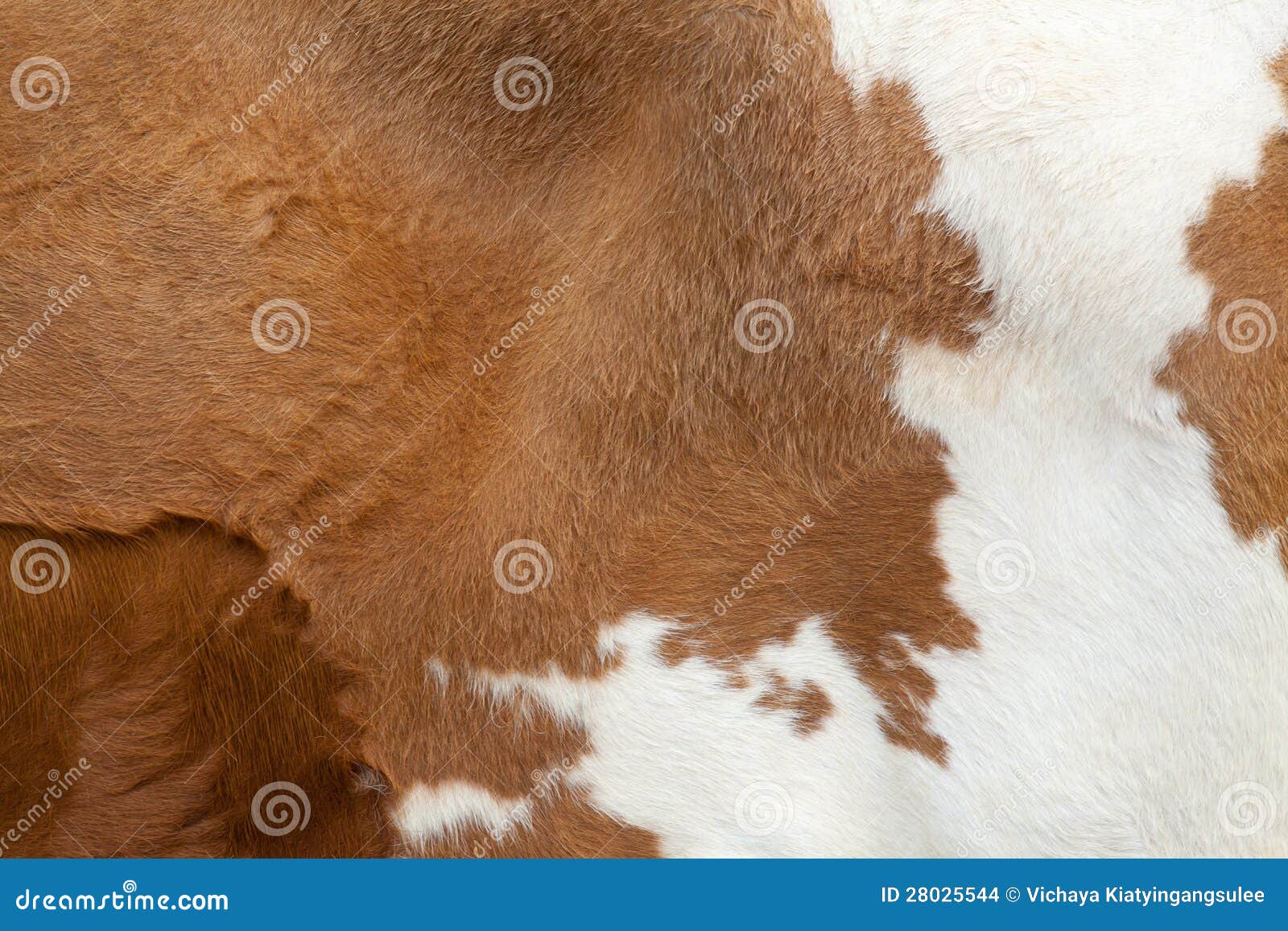 Fur carpet stock photo. Image of abstract, decoration 28025544