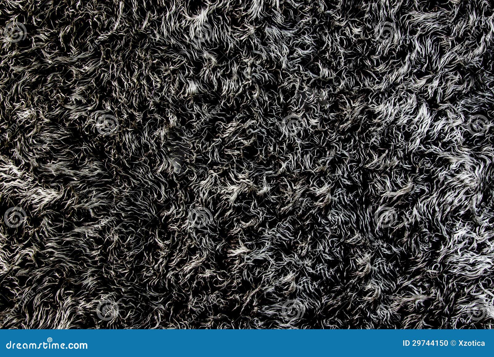 Fur carpet stock photo. Image of carpet, white, background 29744150