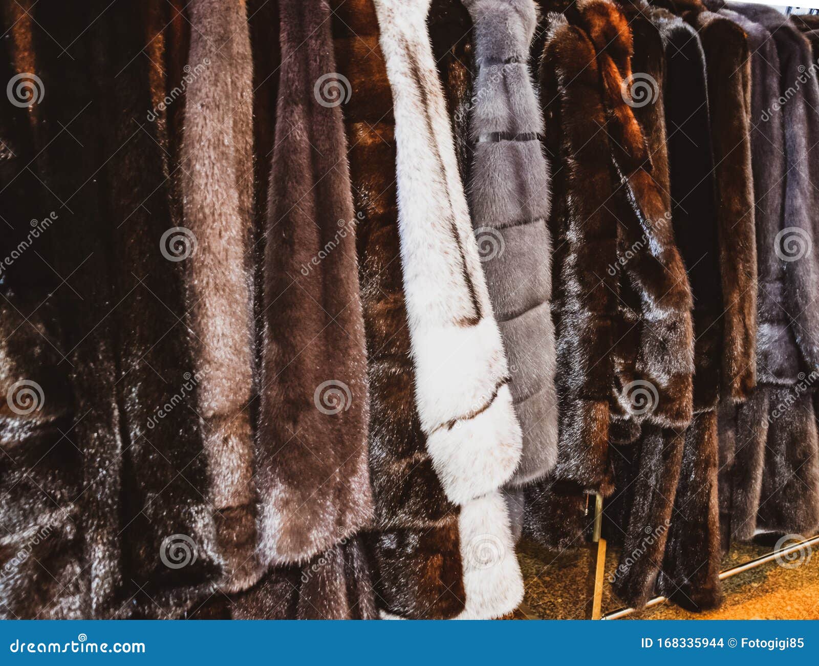 Fur Coats on Hangers. Fur Store Stock Photo - Image of hangers, market ...