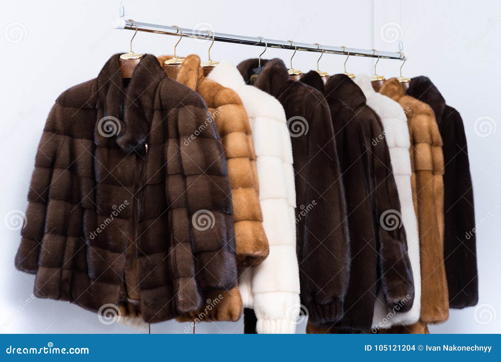 Fur Coats on Hangers in the Interior. Stock Photo Image of coat, mink