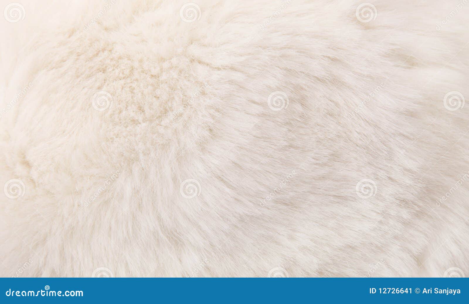 fur texture