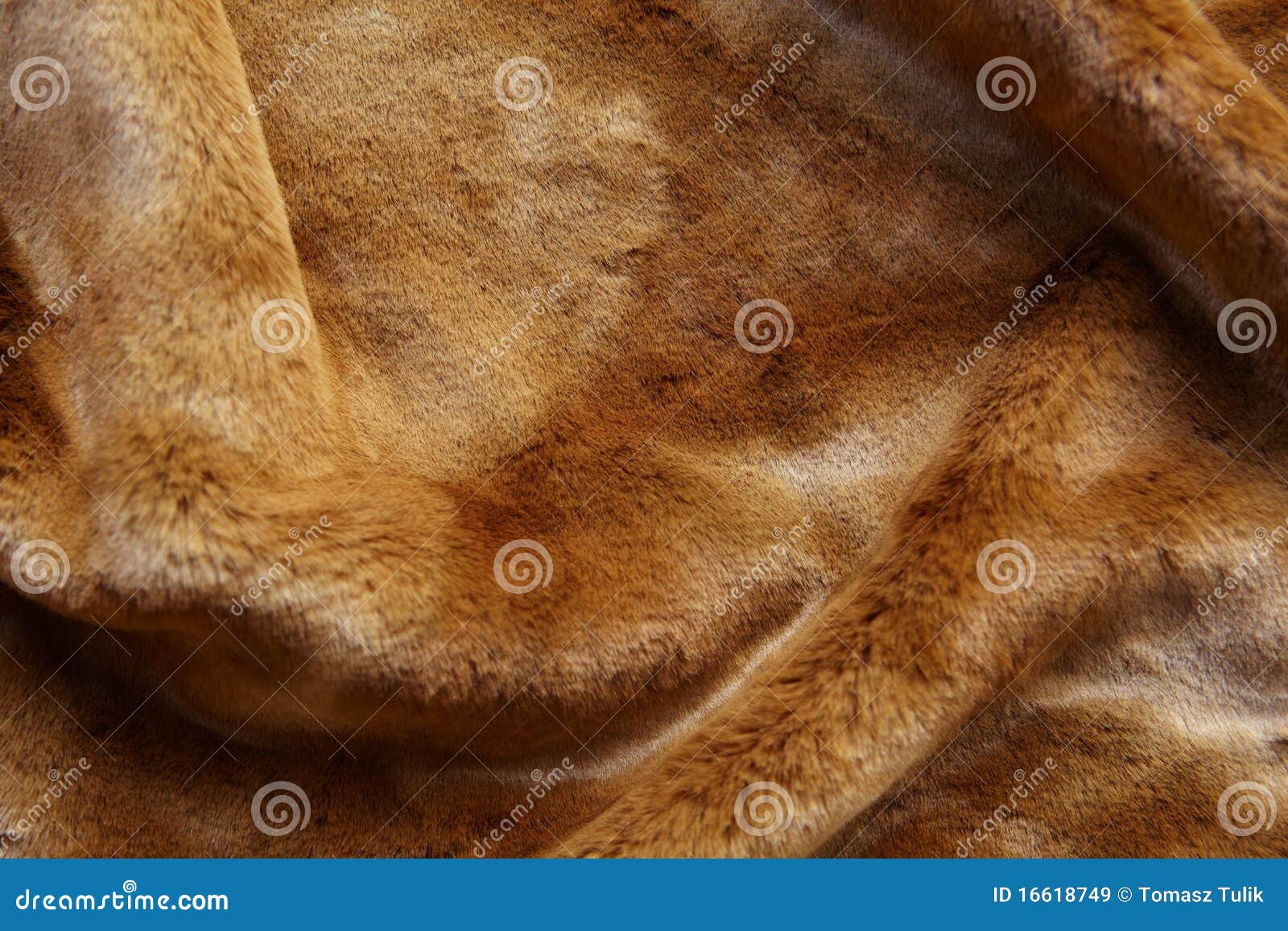 224,000+ Red Fur Stock Photos, Pictures & Royalty-Free Images - iStock
