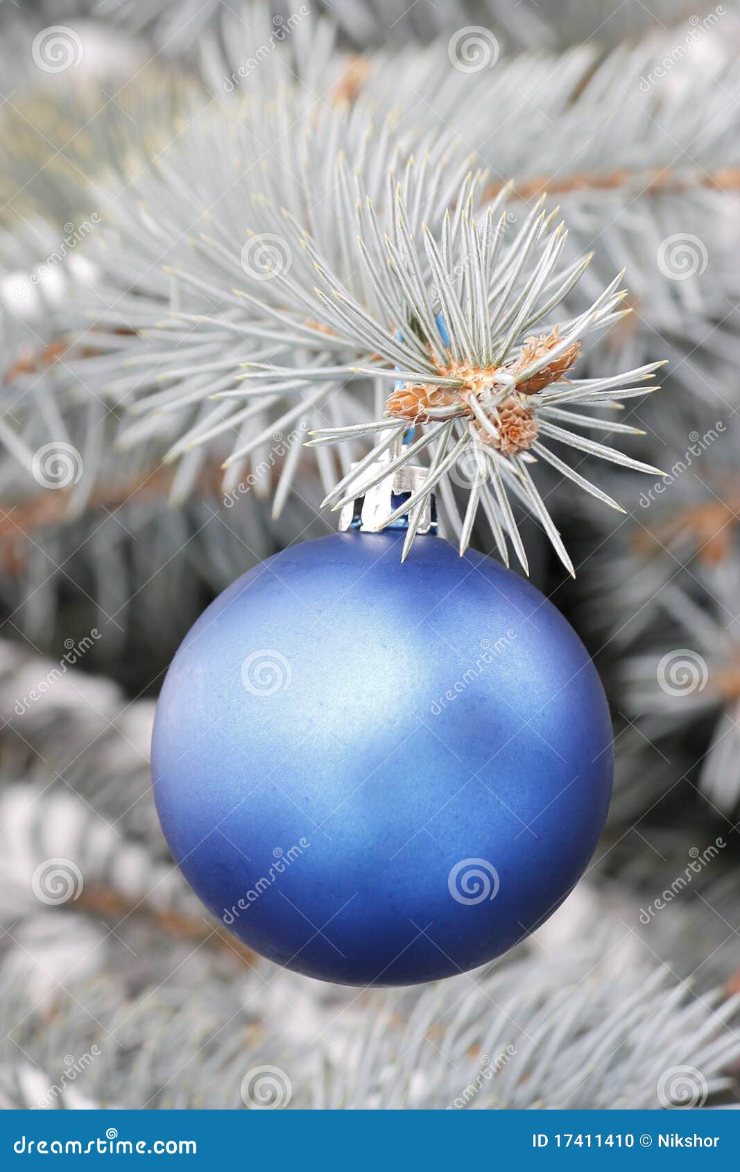 Fur-tree blue stock photo. Image of year, plant, tree - 17411410