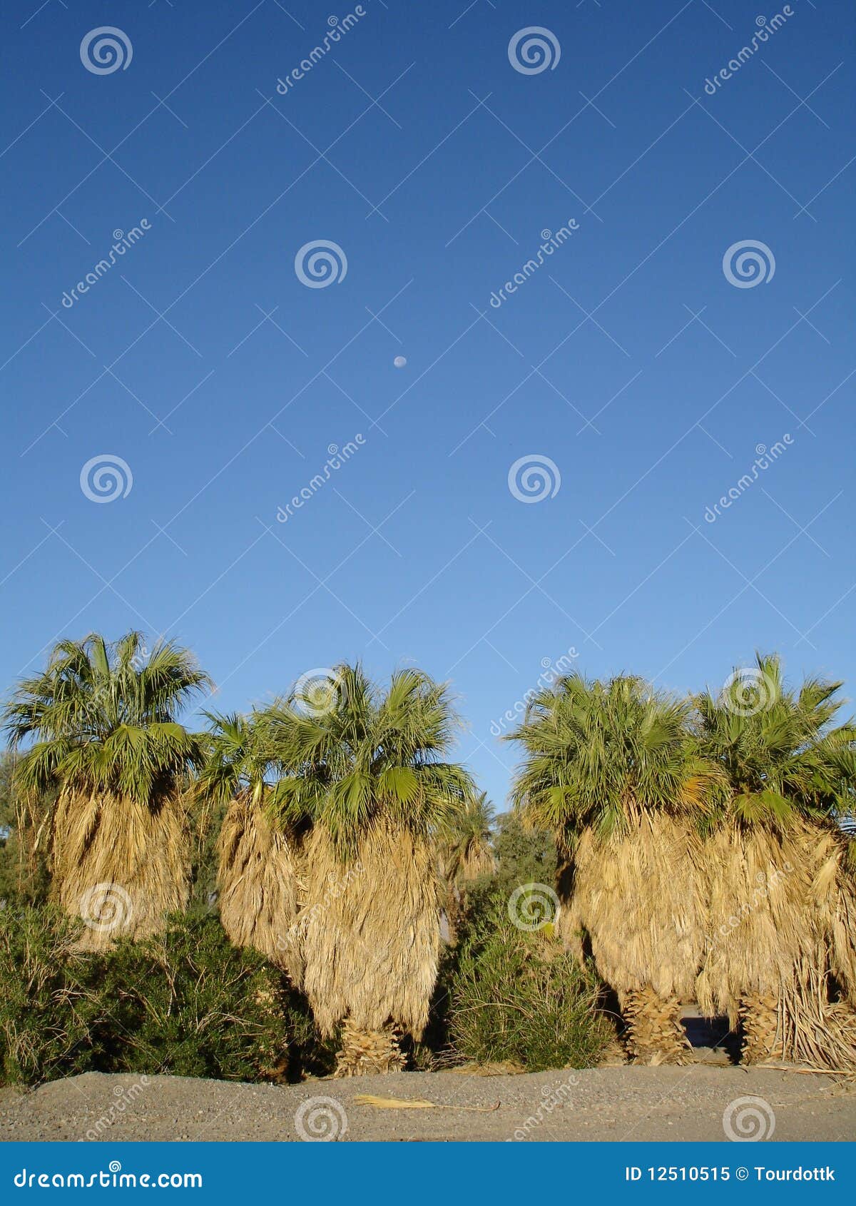 furnace creek blue skies