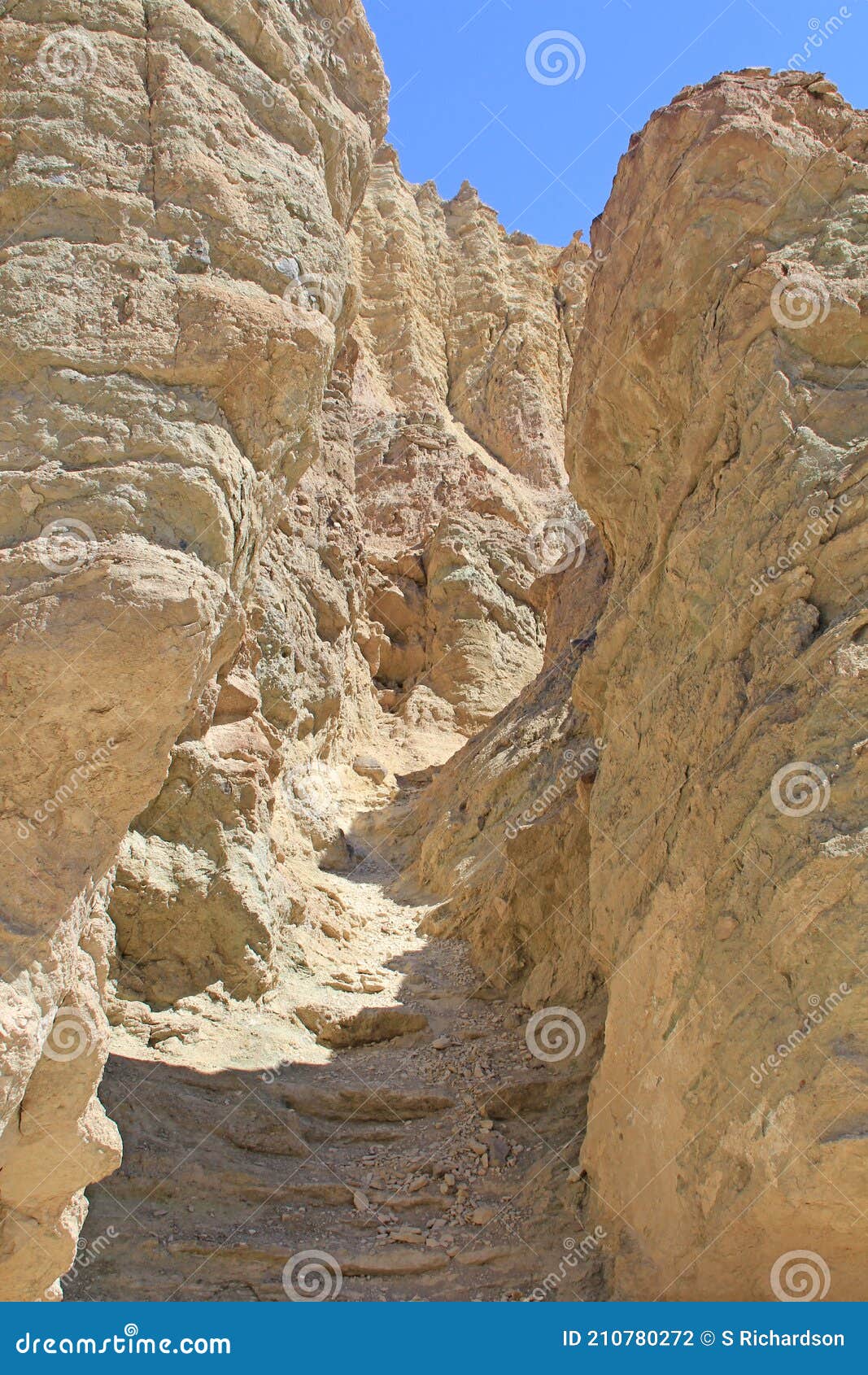 furnace creek in summer