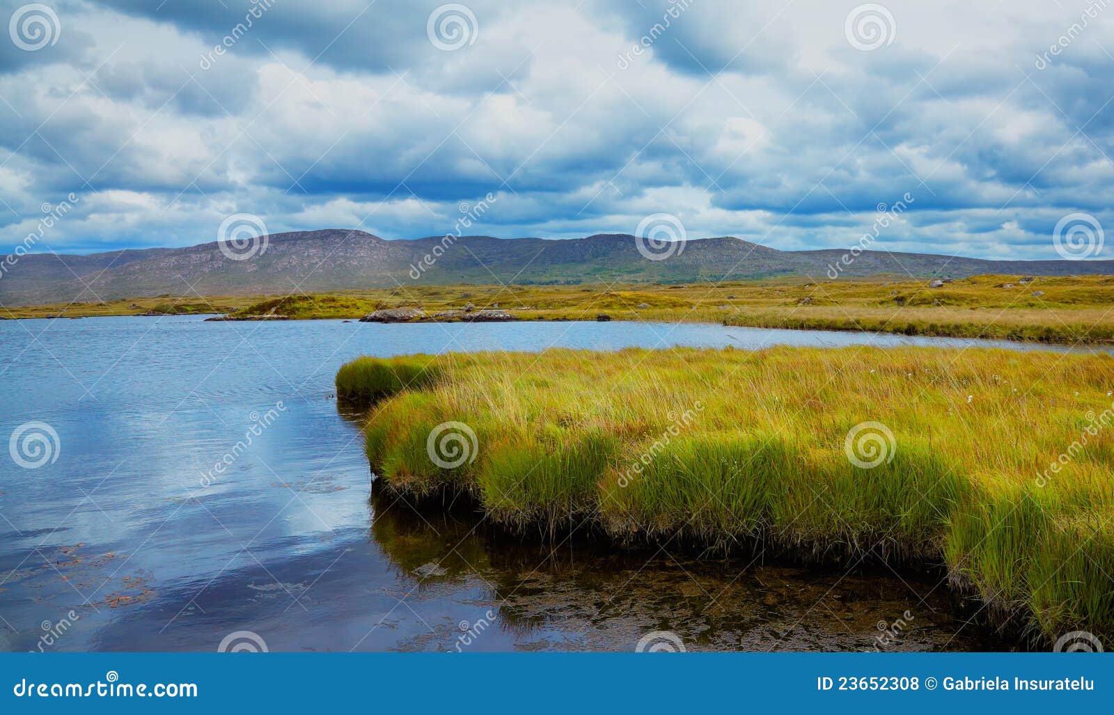 Furnace lake in Ireland stock photo. Image of botany 23652308