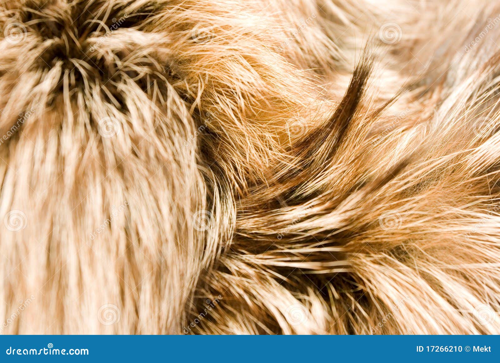Furs background stock photo. Image of designer, skin - 17266210