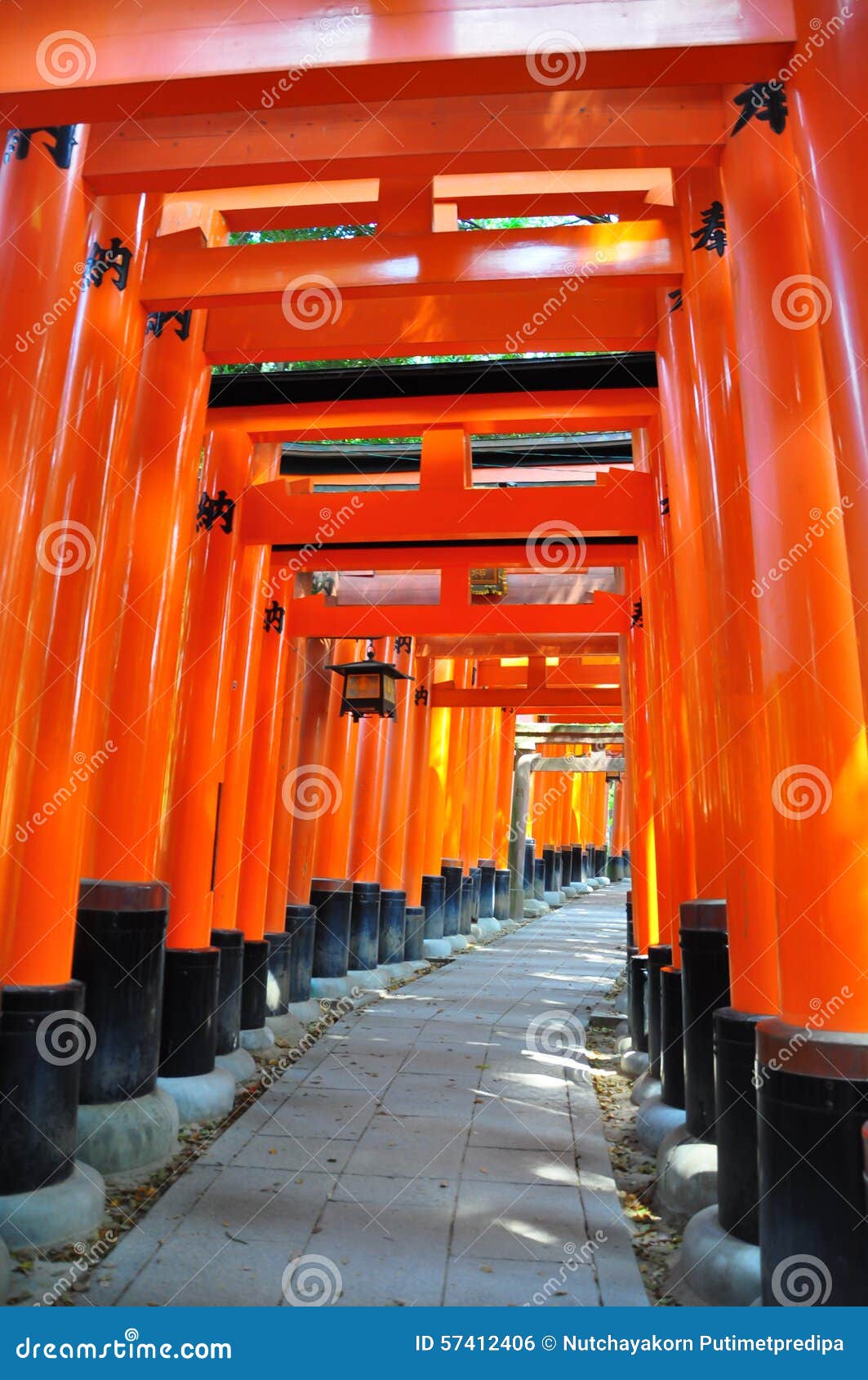 Fushimi Inari寺庙在日本. 在Fushimi-Inari的红色门在京都，日本祀奉