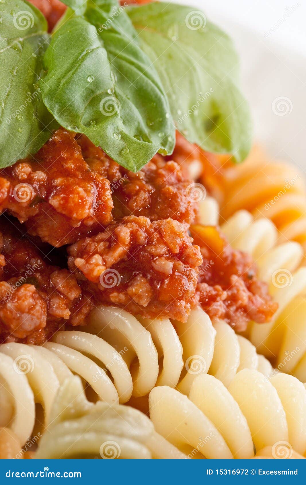 Fusilli bolognese stock photo. Image of pasta, sauce 15316972