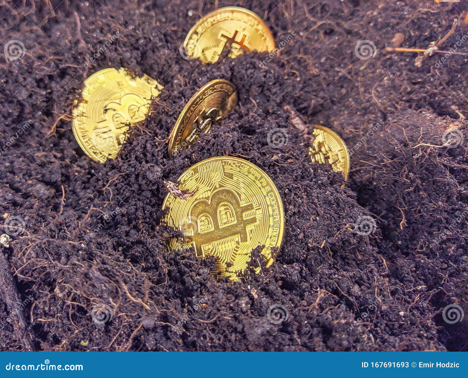 Future Currency Based On Blockchain Technology Presented By Golden Bitcoins In Soil As A Concept Of Mining Bitcoins And Investing Stock Image Image Of Bitcoin Business 167691693