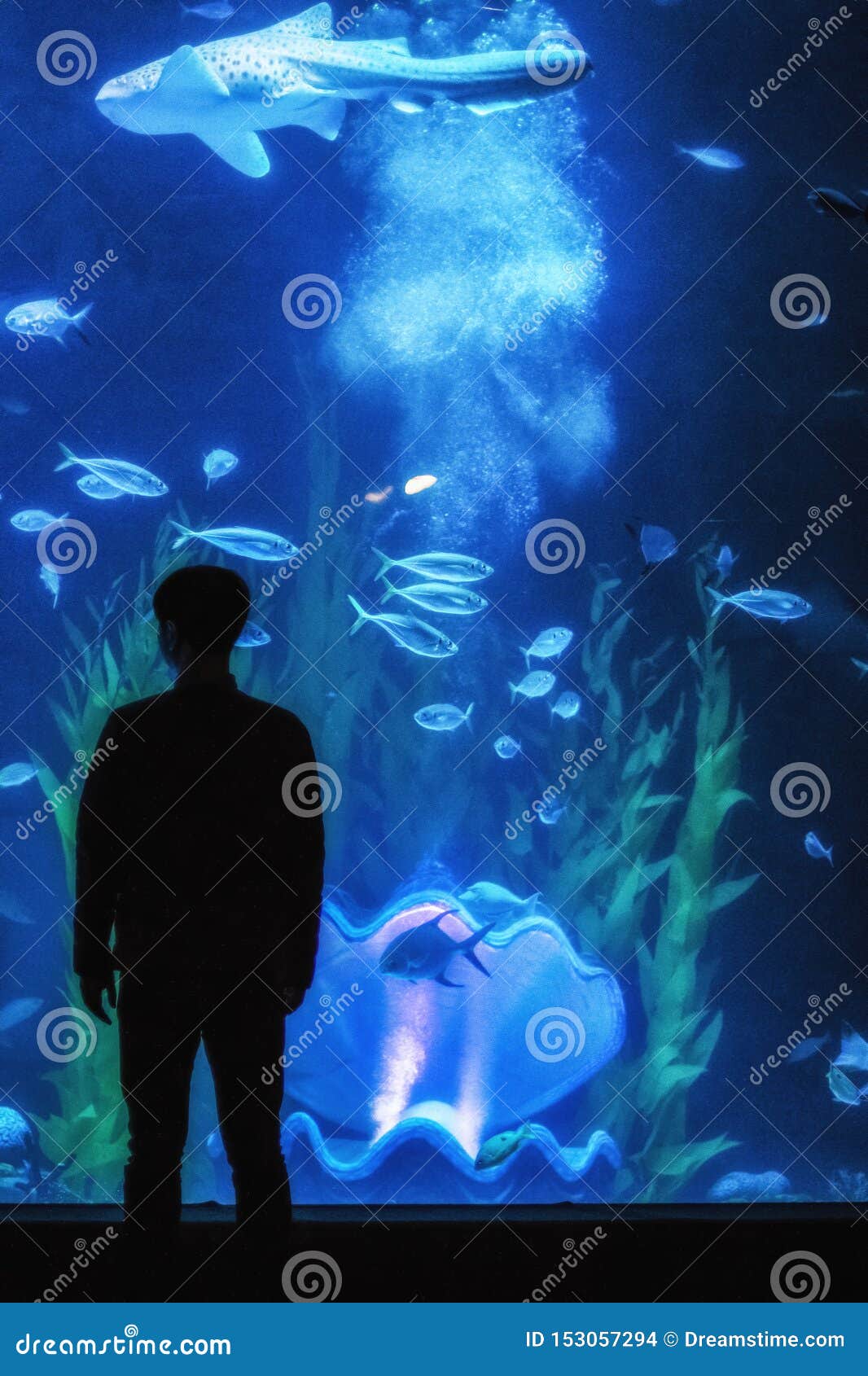 Futuristic Picture Water Aquarium Glow Sink Silhouettes Human