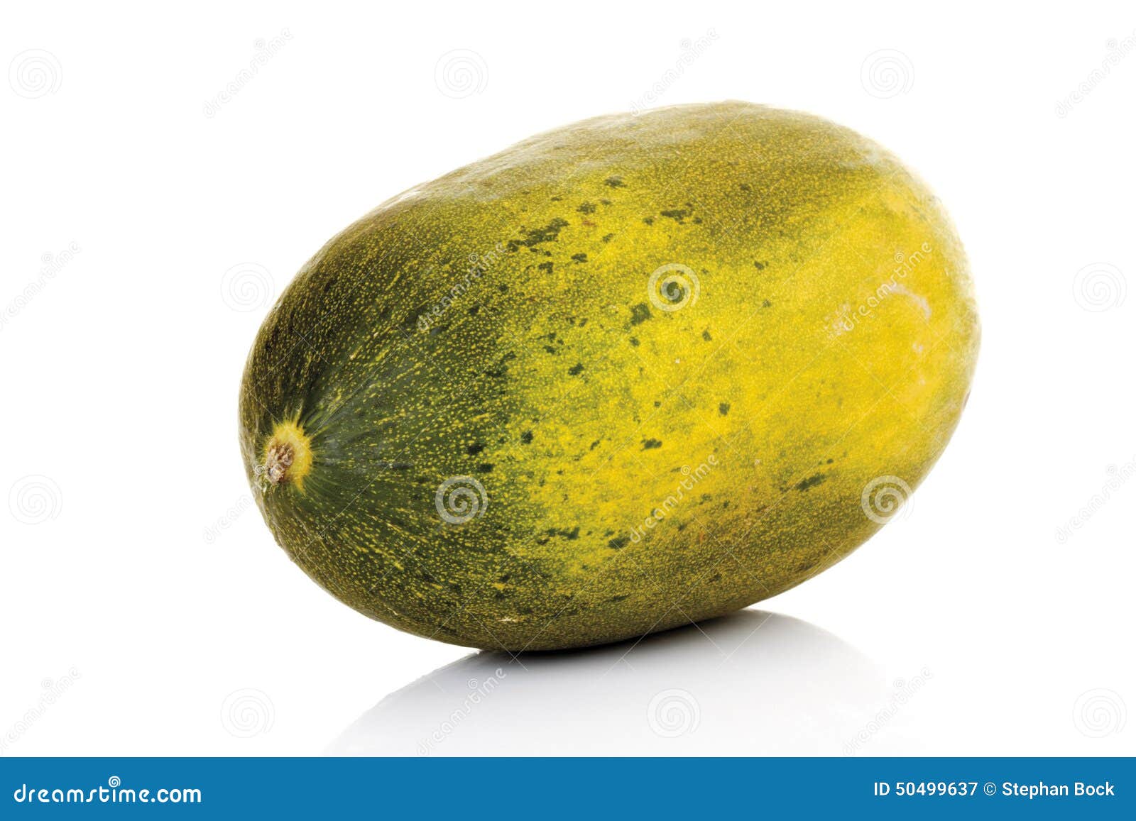 futuro melon, close-up