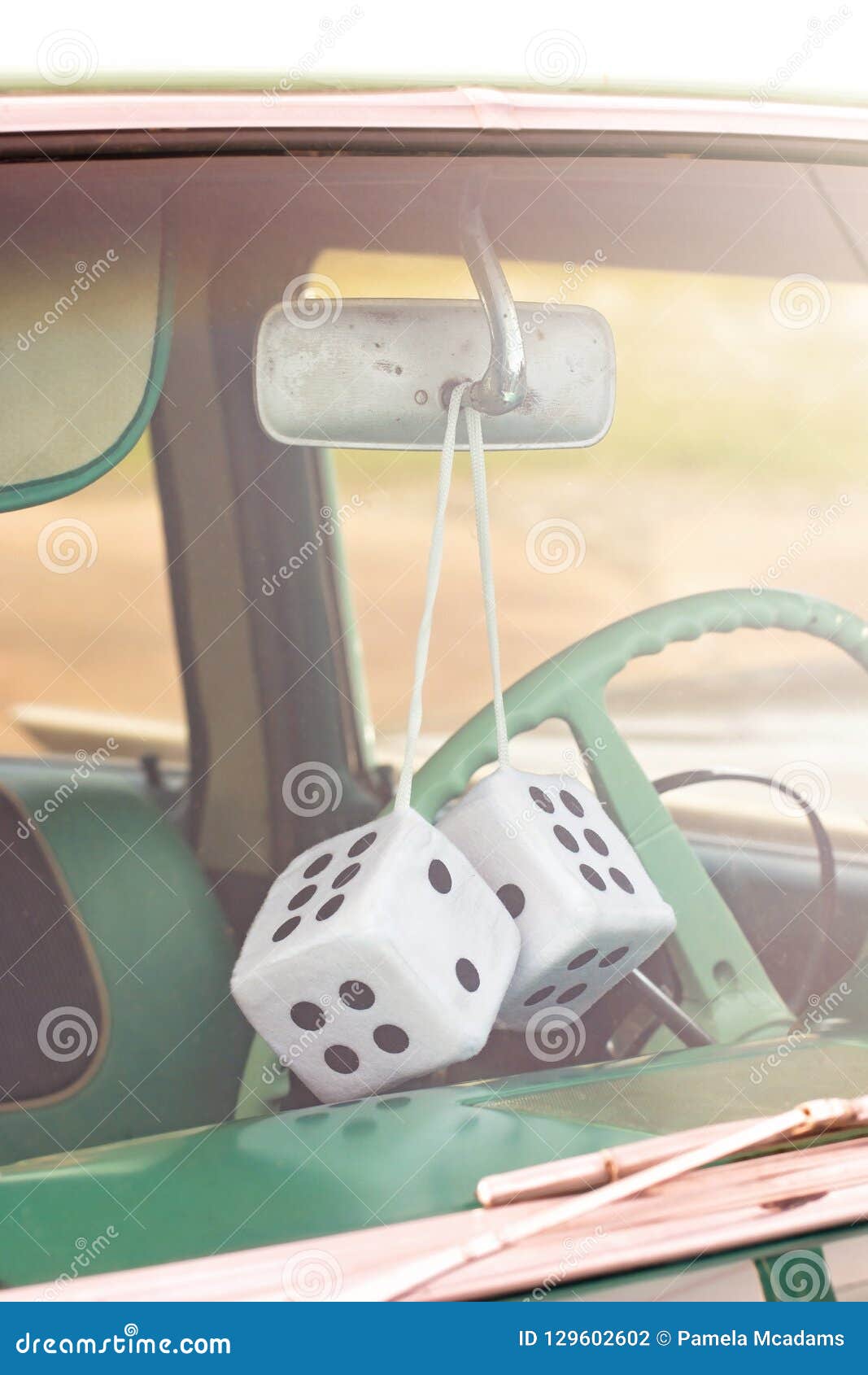 780+ Furry Dice Stock Photos, Pictures & Royalty-Free Images