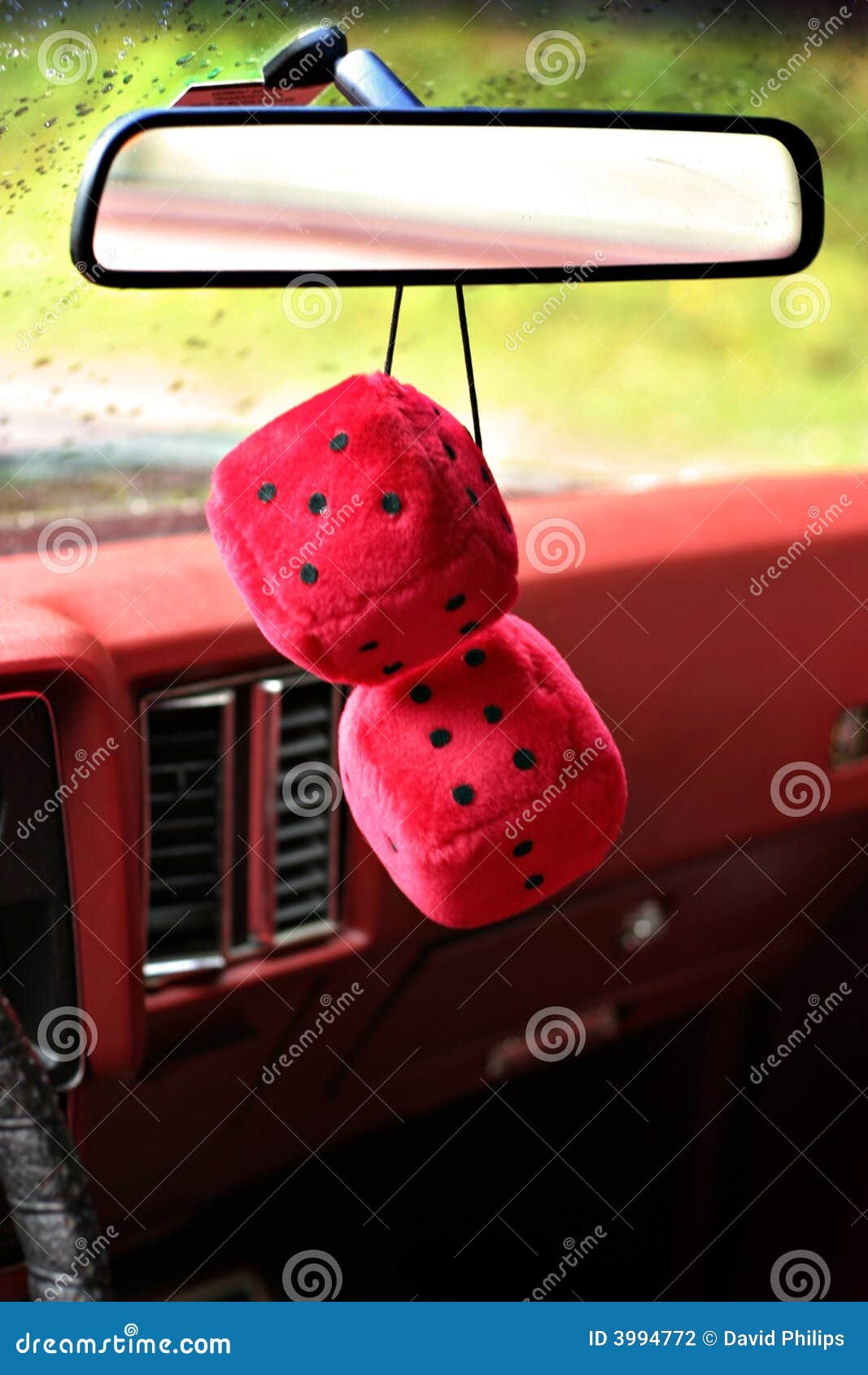 Pair of Fuzzy Dice Hanging in Rearview Mirror · Free Stock Photo