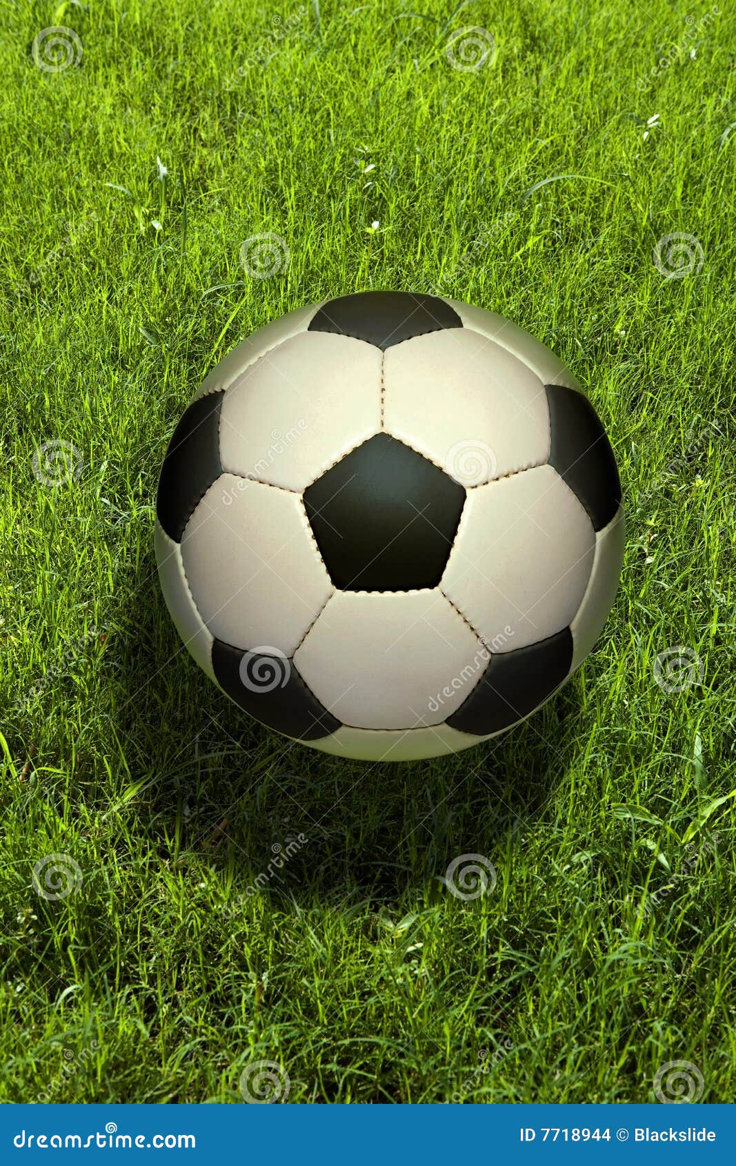 Fußballkugel auf dem Gras