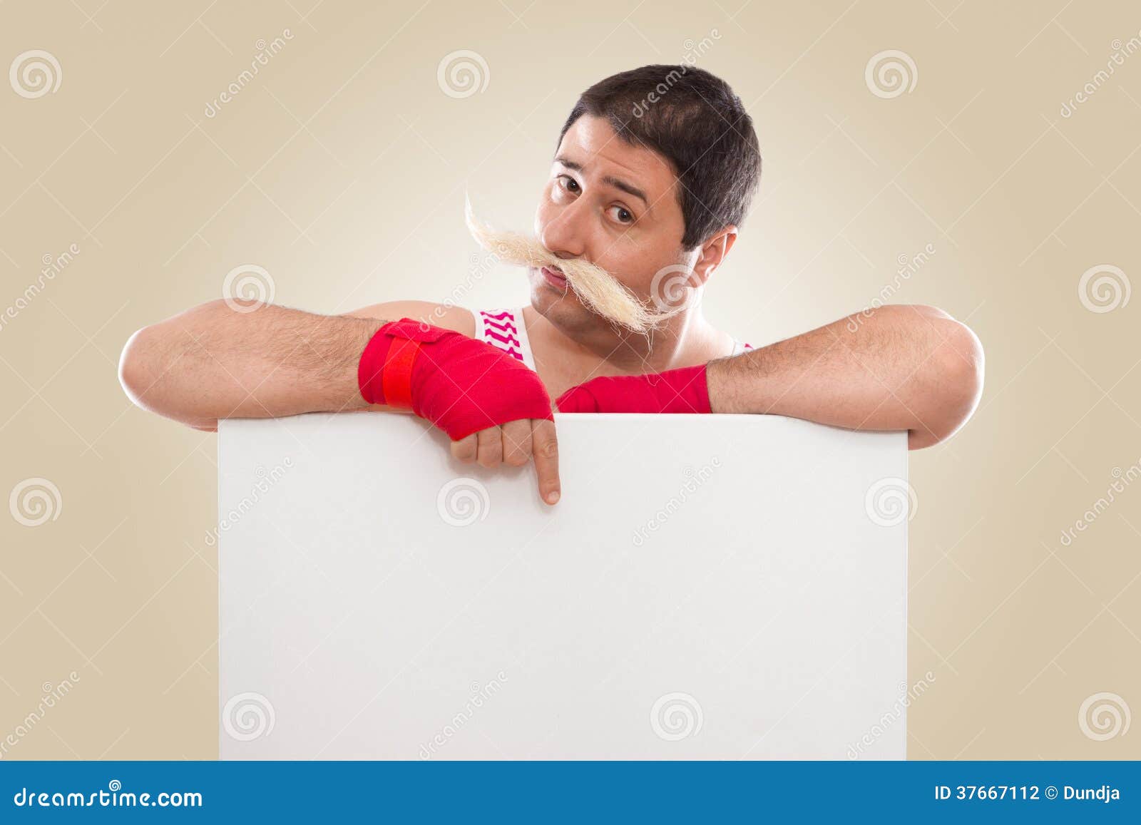 Fynny boxer posing stock photo. Image of placard, holding 37667112