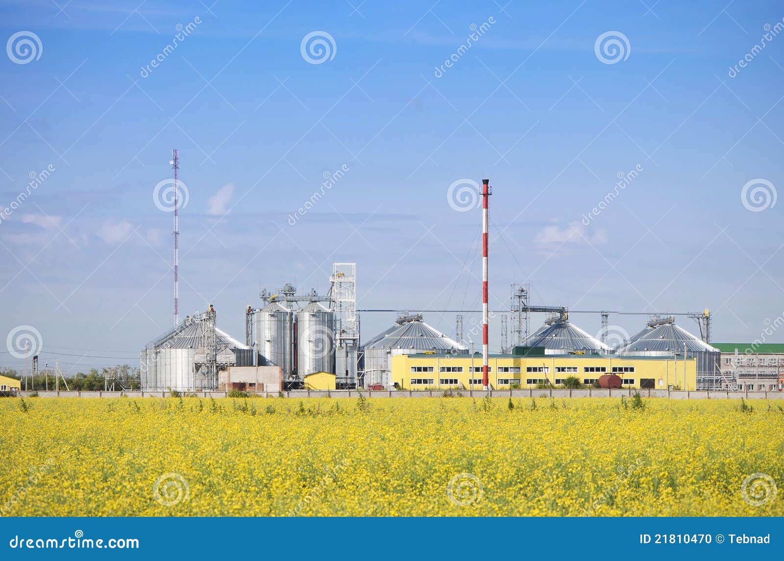 Fábrica del petróleo de rabina produciendo el biodiesel. Fábrica del petróleo de rabina en un campo amarillo del canola.