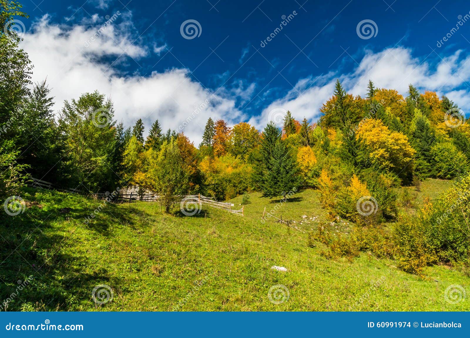 Färgar av höst. Höstlandskap i berg med den färgrika skogen och blå himmel