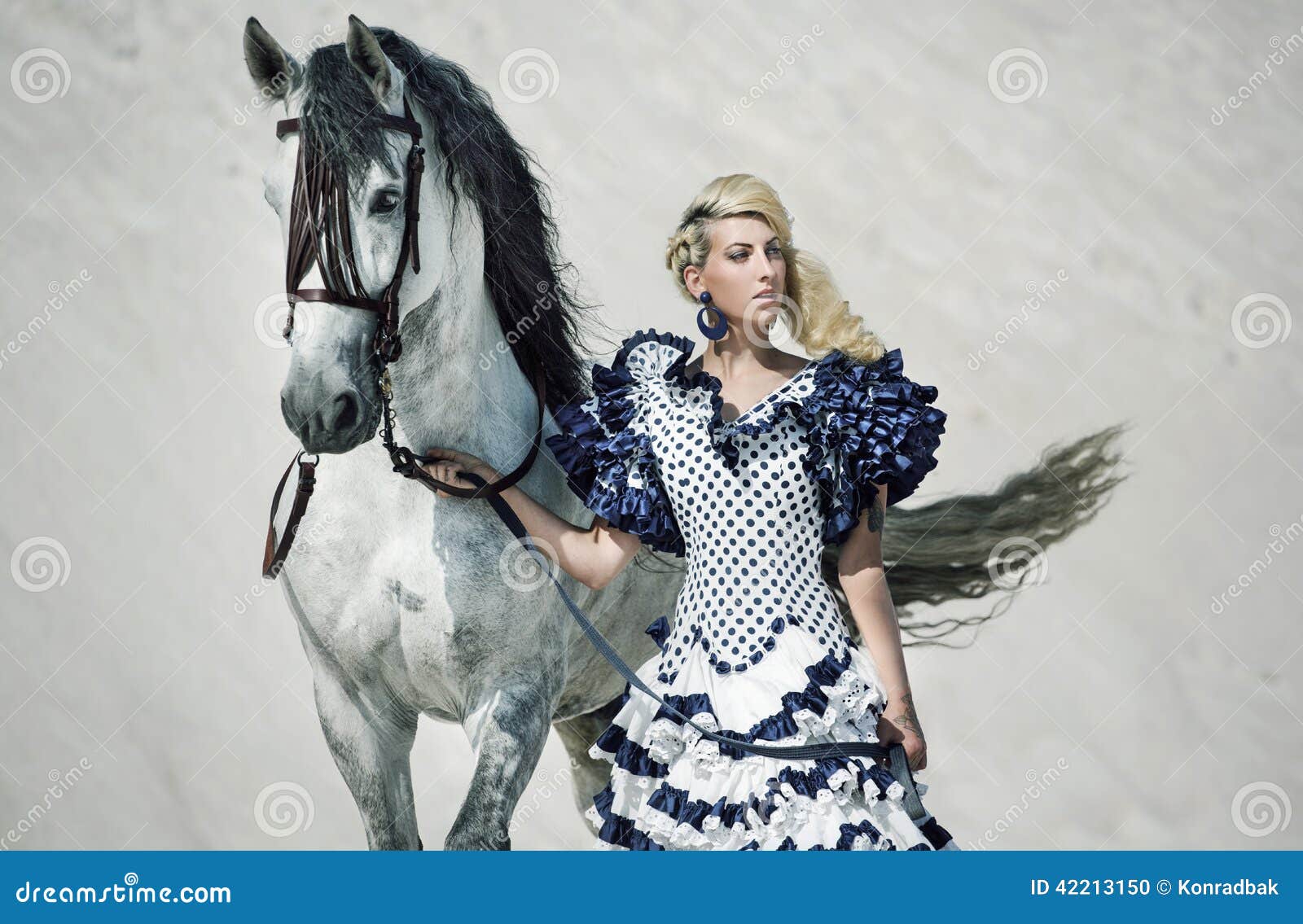 Färgrik bild av damen med hästen. Färgrik bild av damen med den vita hästen