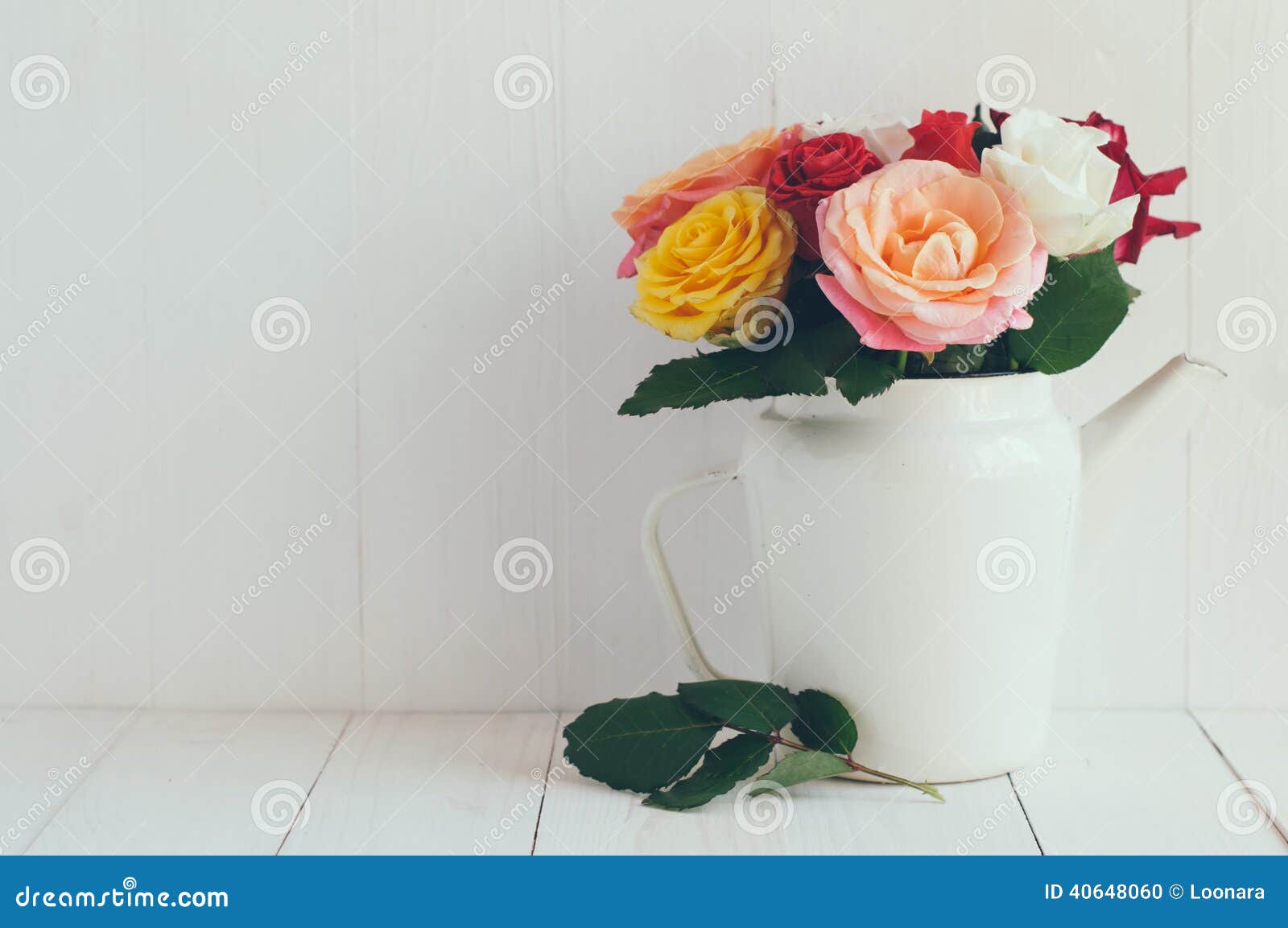 Färgrika rosor i den vita emaljkaffekrukan. Buketten av nya blommor, färgrika rosor i vitt emaljkaffe lägger in, den hem- dekoren i landsstil, målad vit bakgrund