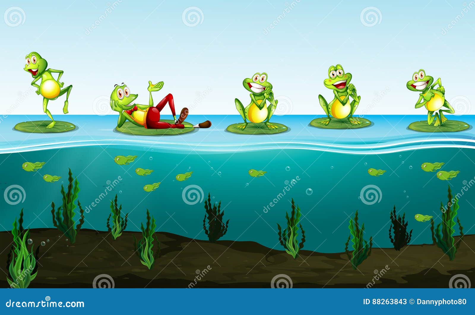 Fünf Grüne Frösche Im Teich Vektor Abbildung Illustration von fische
