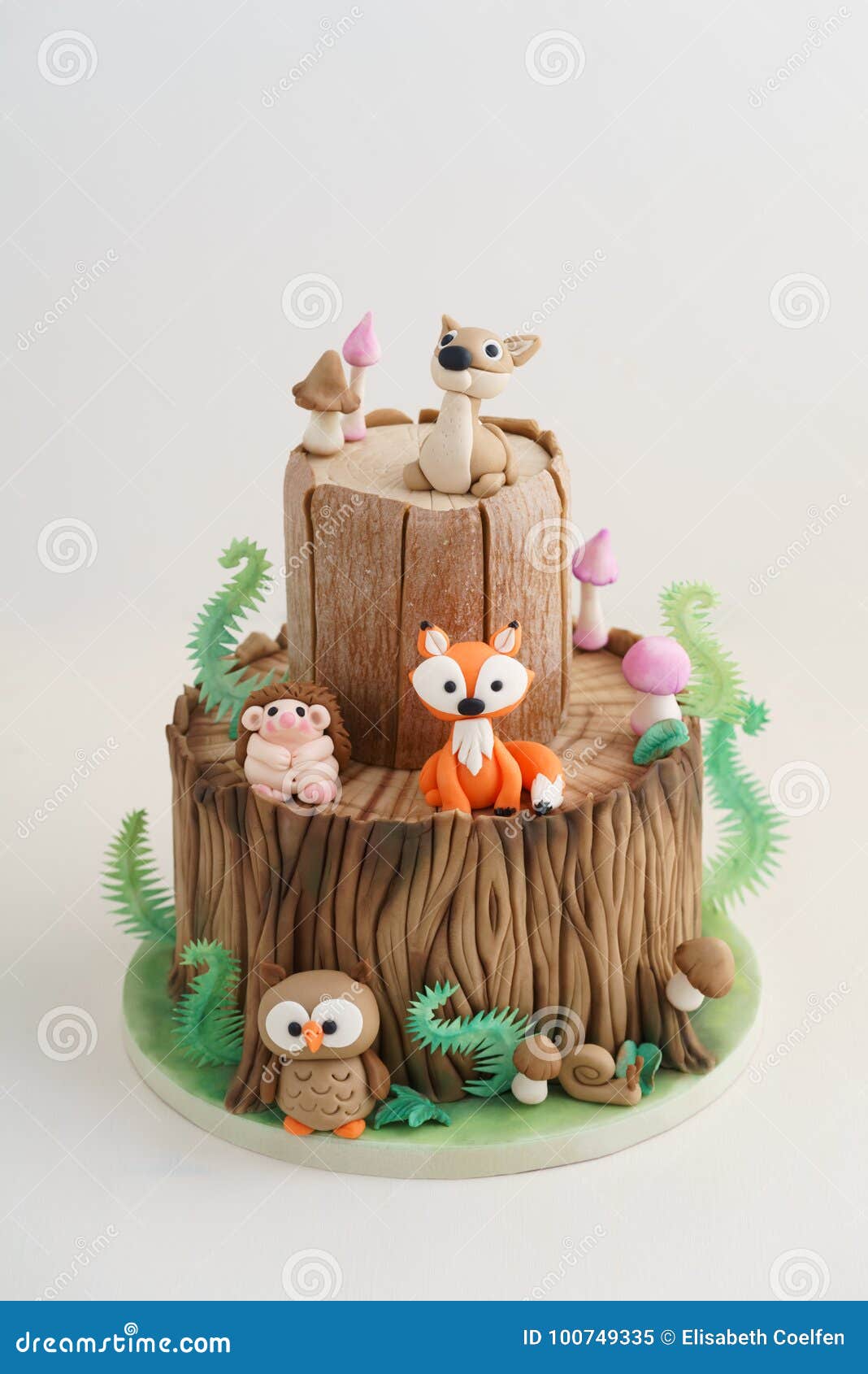 Gateau Enchante De Foret Image Stock Image Du Mousse Gateau Enchante De Foret Image Stock Image Du Mousse