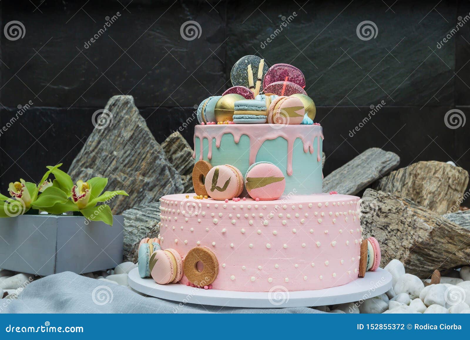 Gateau Fait Maison Colore De Macarons Sur La Pyramide Dans Beaucoup De Niveaux Photo Stock Image Du Beaucoup Macarons Gateau Fait Maison Colore De Macarons Sur La Pyramide Dans Beaucoup De Niveaux Photo Stock Image Du Beaucoup Macarons