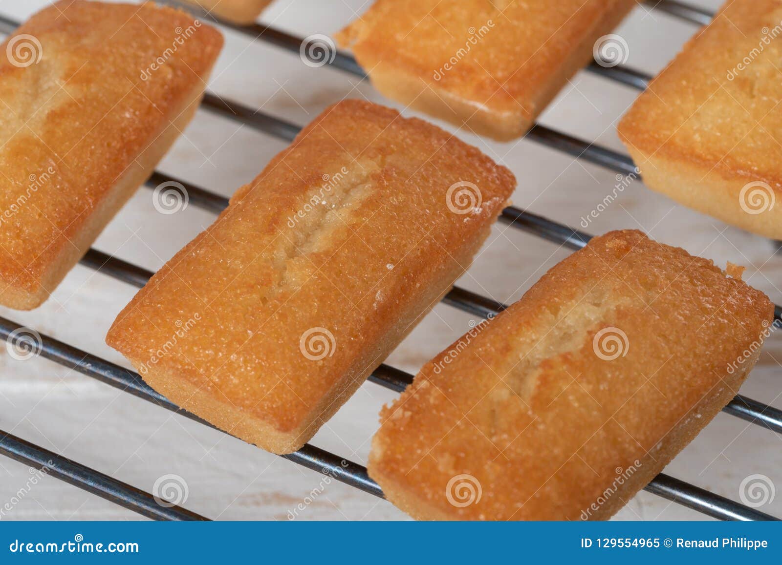 Gateau Fait Maison De Financier Patisserie Francaise Image Stock Image Du Homemade Dessert Gateau Fait Maison De Financier Patisserie Francaise Image Stock Image Du Homemade Dessert