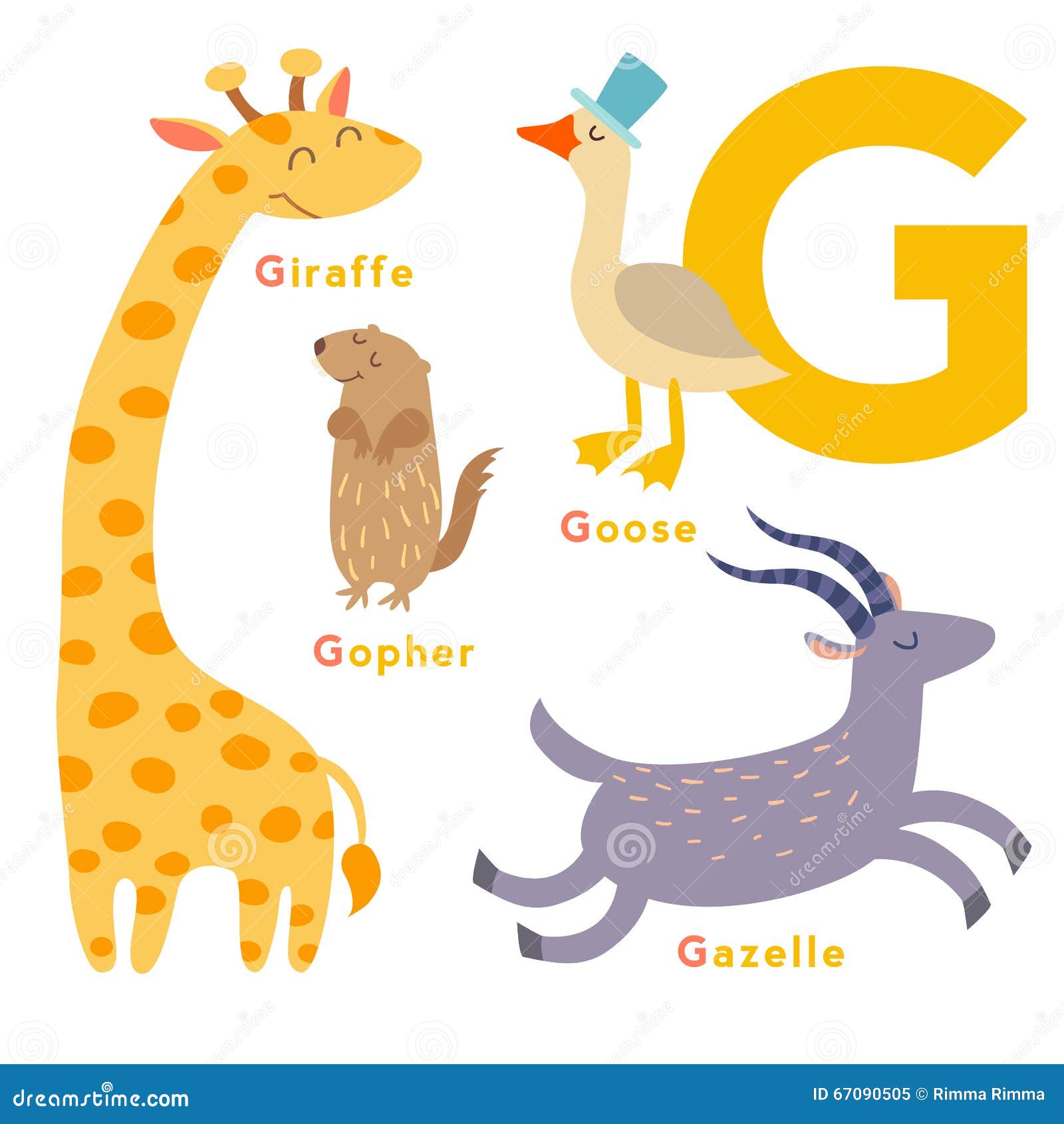 G Letter Animals Set. English Alphabet Stock Vector - Illustration of gazelle, cute: 67090505 G Letter Animals Set. English Alphabet Stock Vector - Illustration of gazelle, cute: 67090505