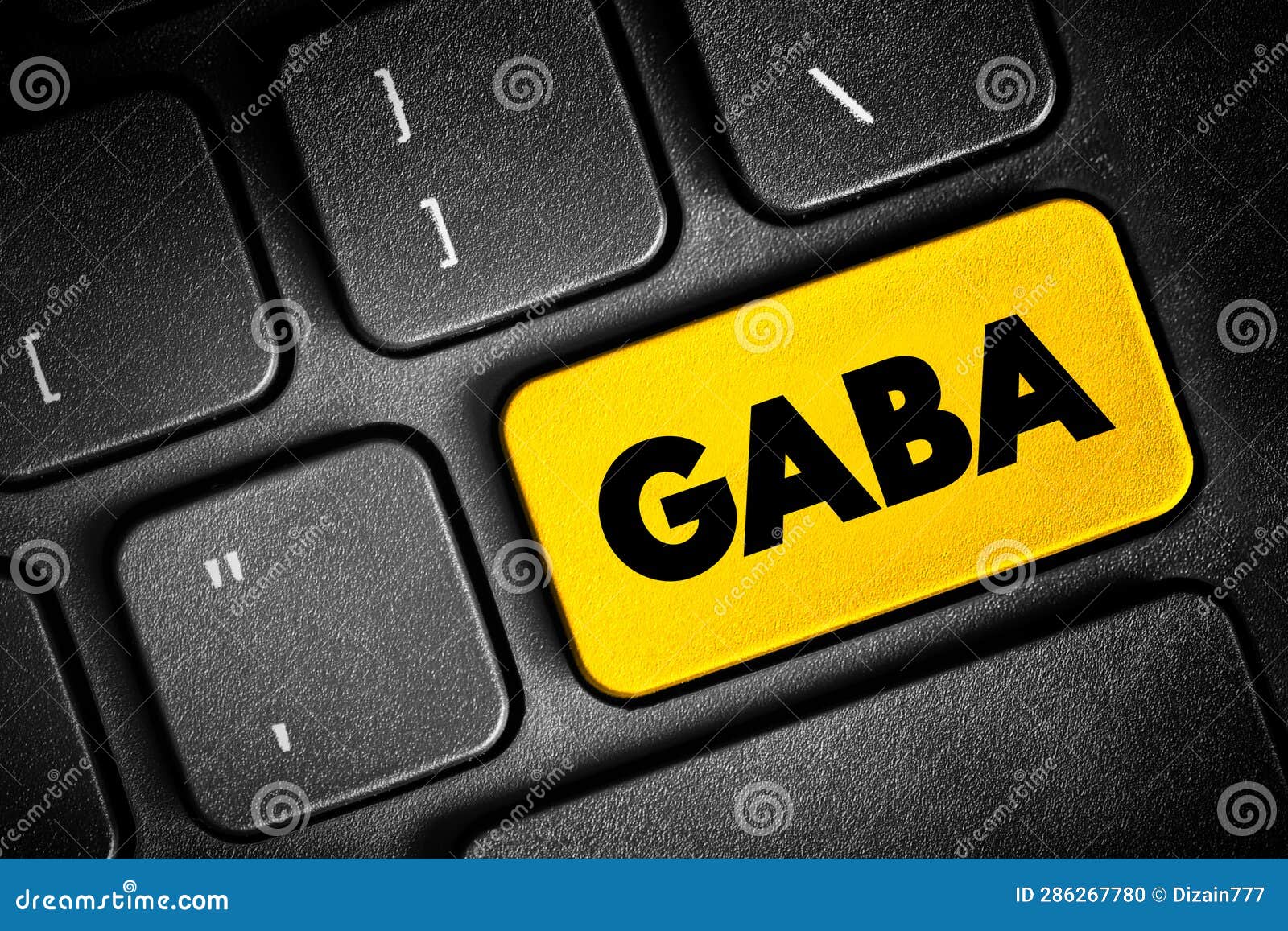gaba - chief inhibitory neurotransmitter in the developmentally mature mammalian central nervous system, text button on keyboard,