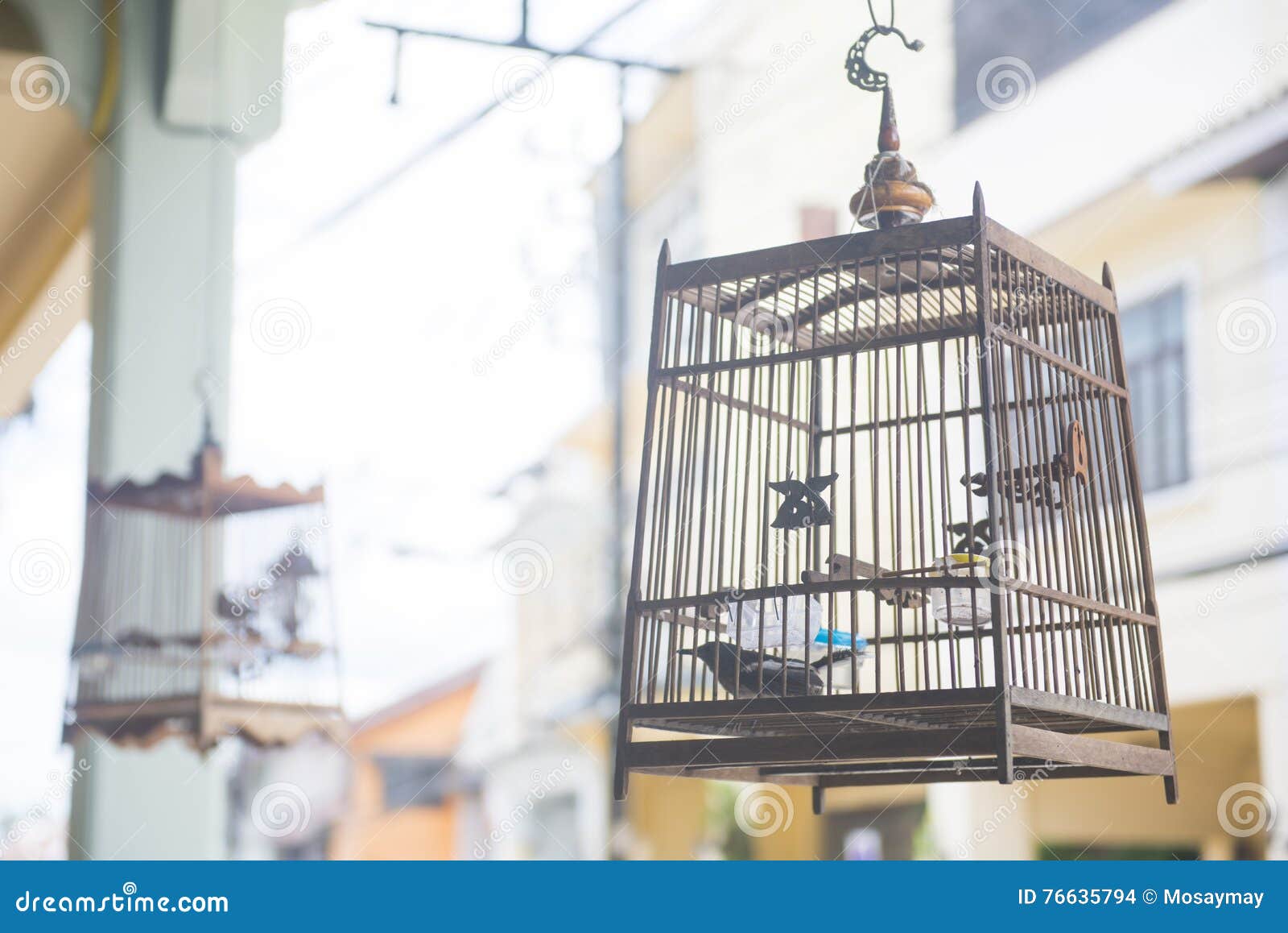 Supporto Per Gabbia Uccelli Kaydeecee - In Acciaio Tubolare Nero, Altezza 165cm, Base Stabile Con 4 Gambe - Foto 6