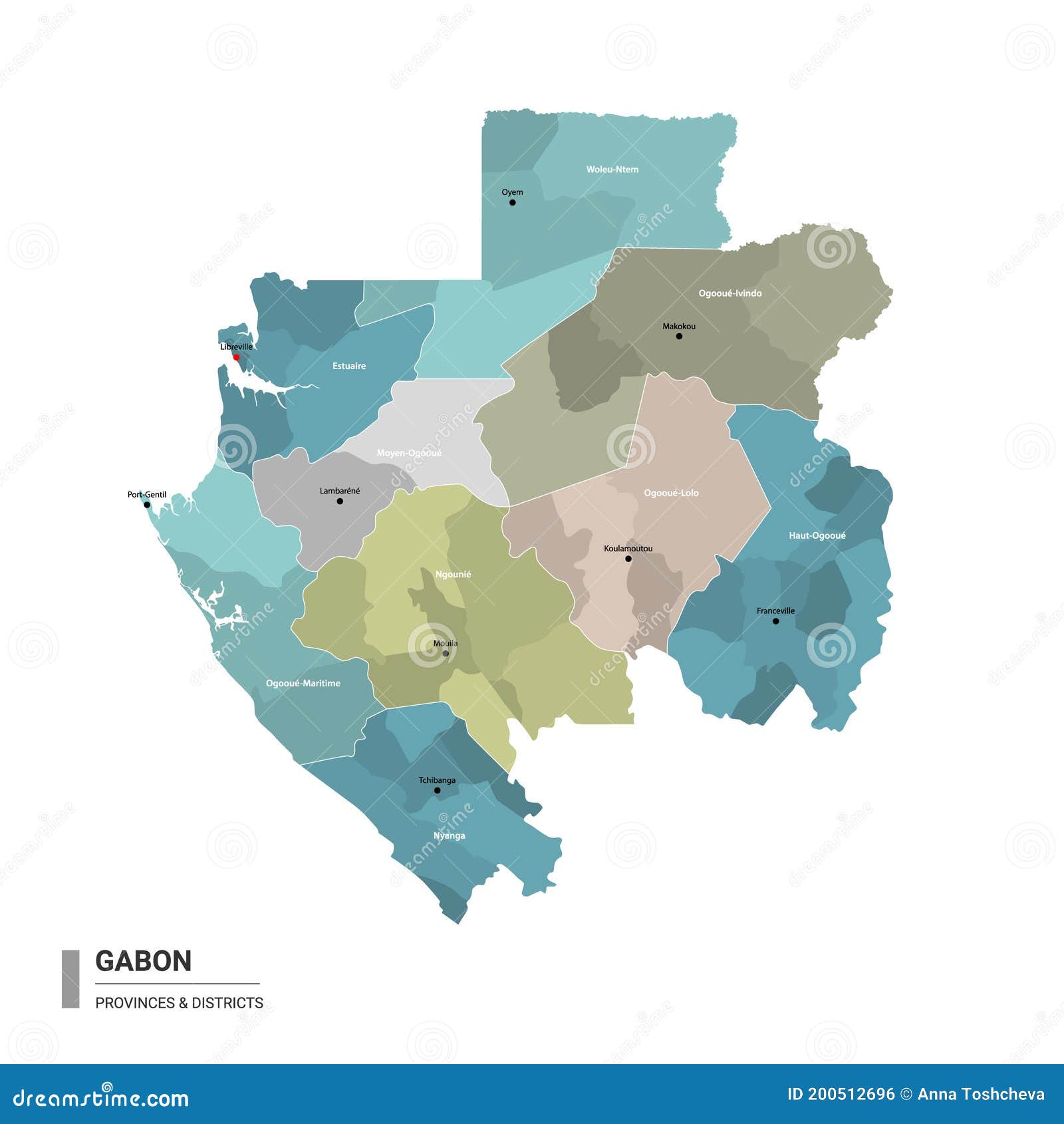 gabon higt detailed map with subdivisions