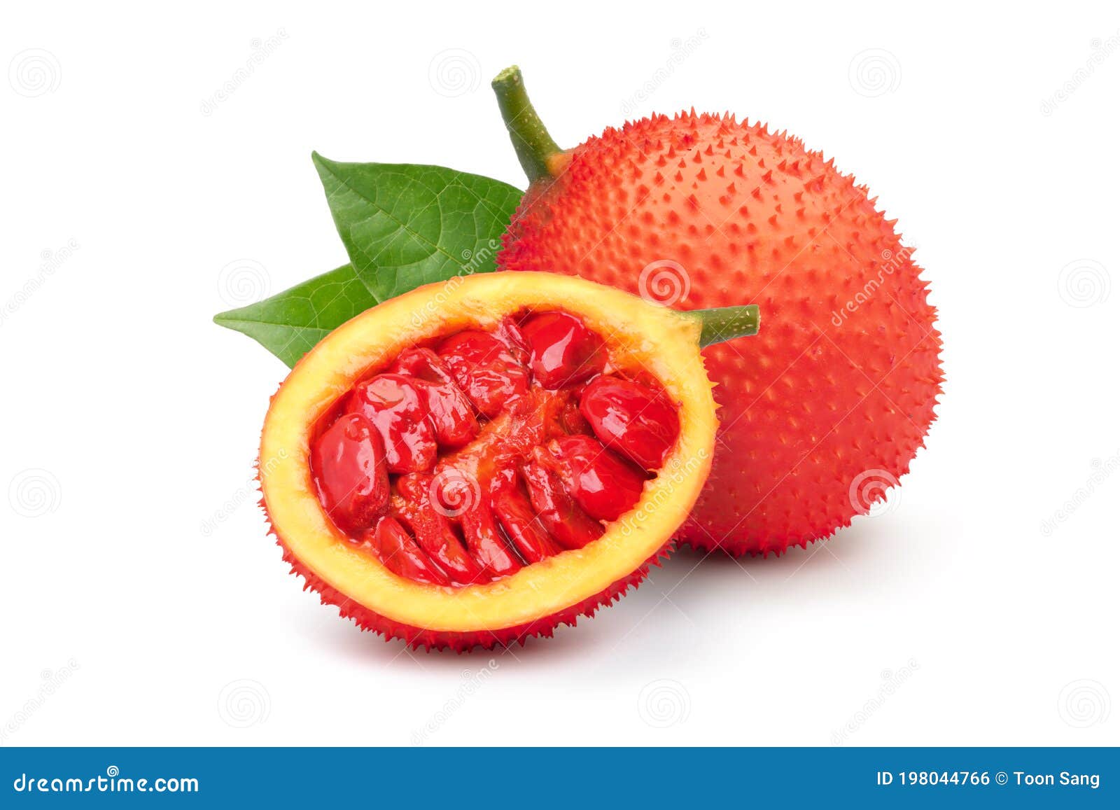 Gac Fruit with Cut in Half and Green Leaf Stock Photo Image of seed